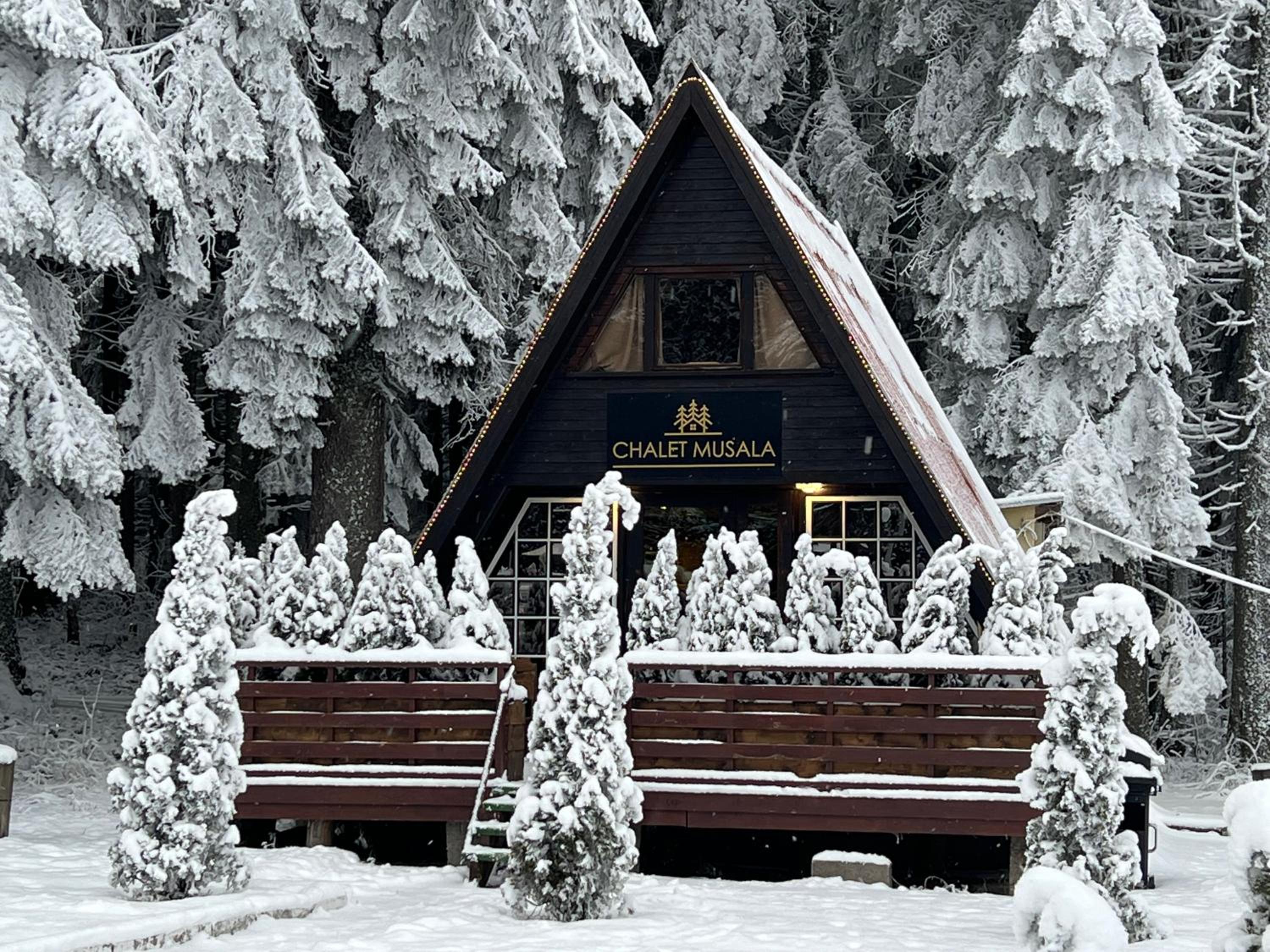 Chalet Musala Borovets by BookVillaBG