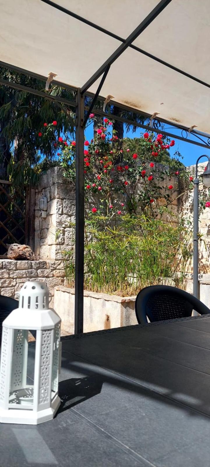 Il Trullo delle rose, Monopoli by IL PUMO DI PUGLIA view 3