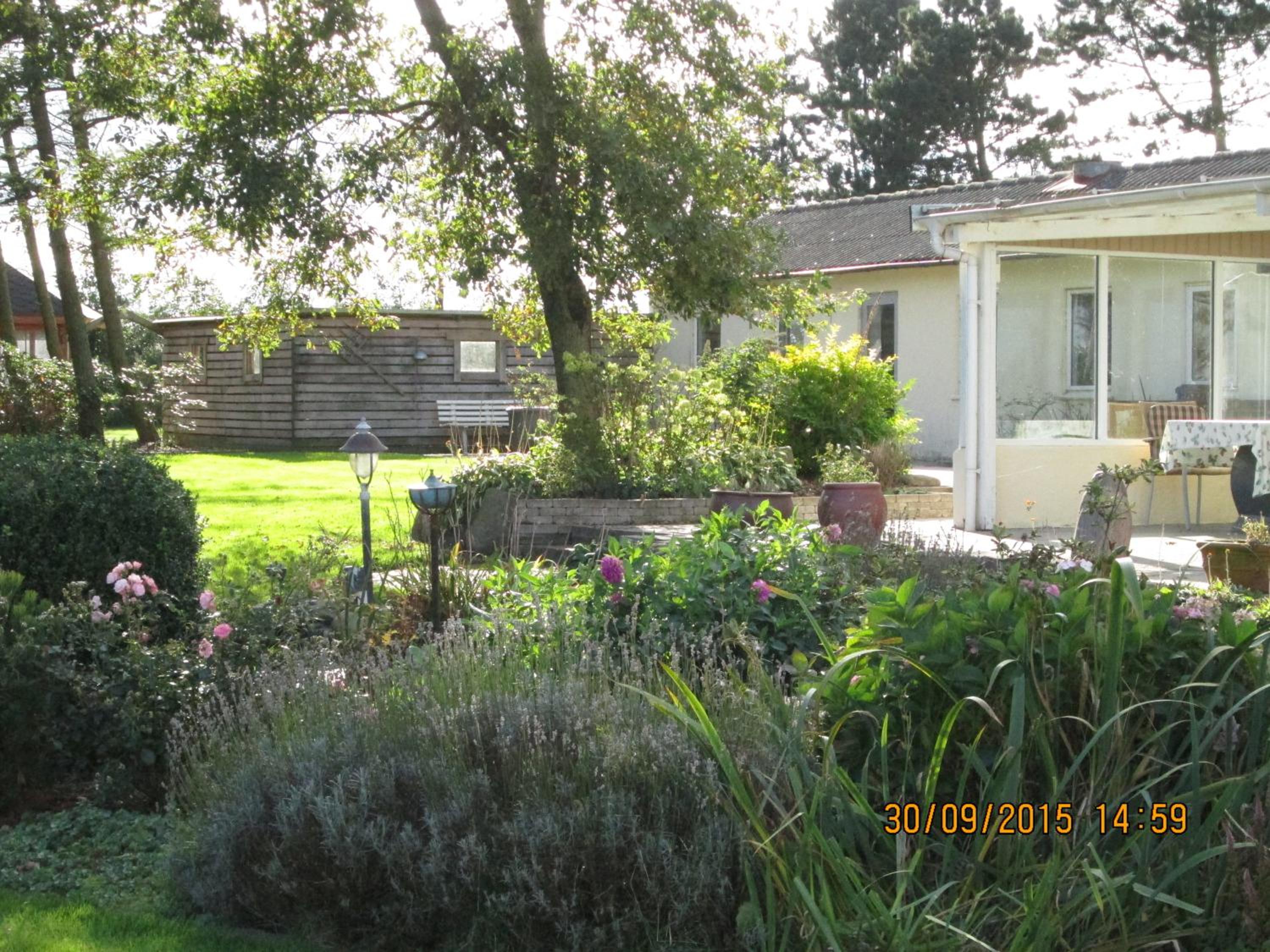 Photo 15