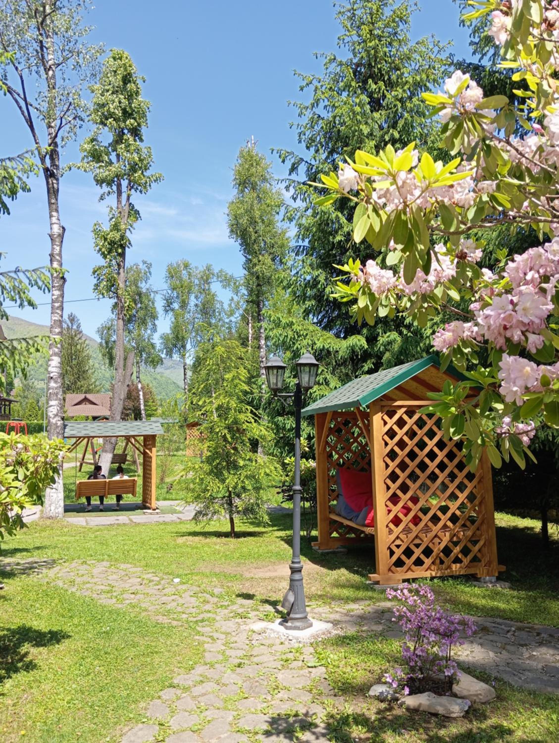 Photo 16