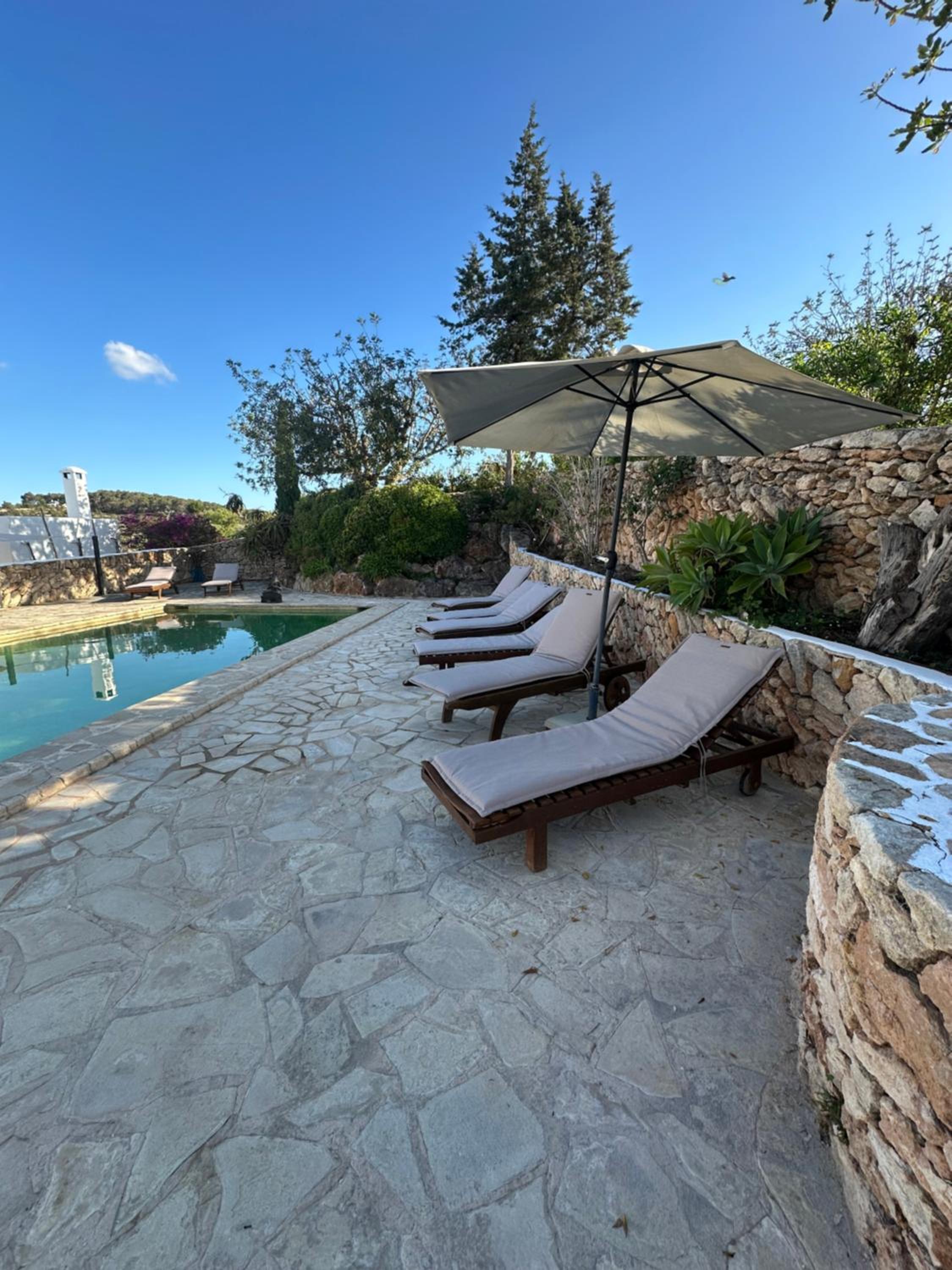 Finca in San Rafael view 2
