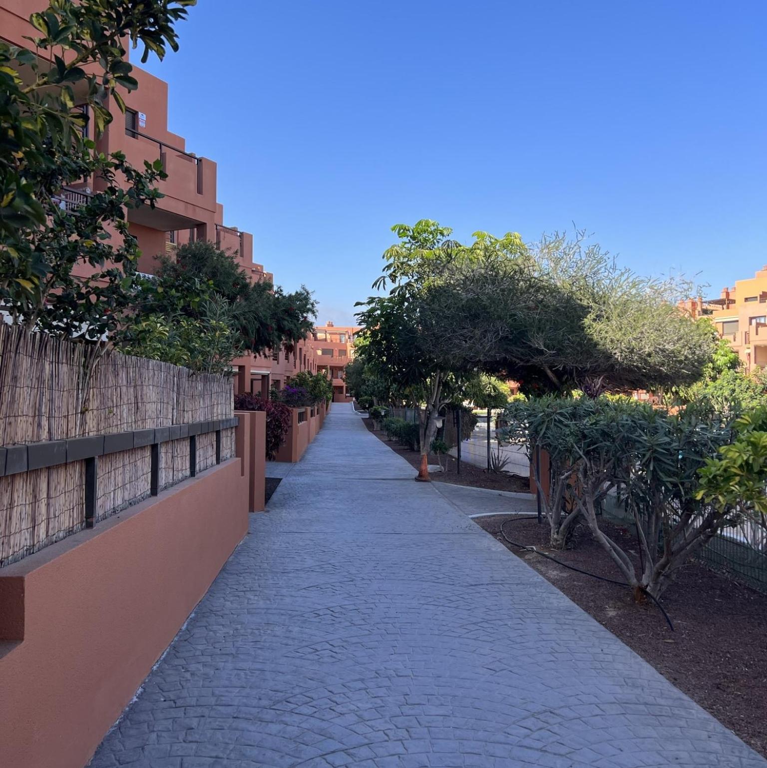 One Bed Apt In La Tejita With Sea Views K120 view 5
