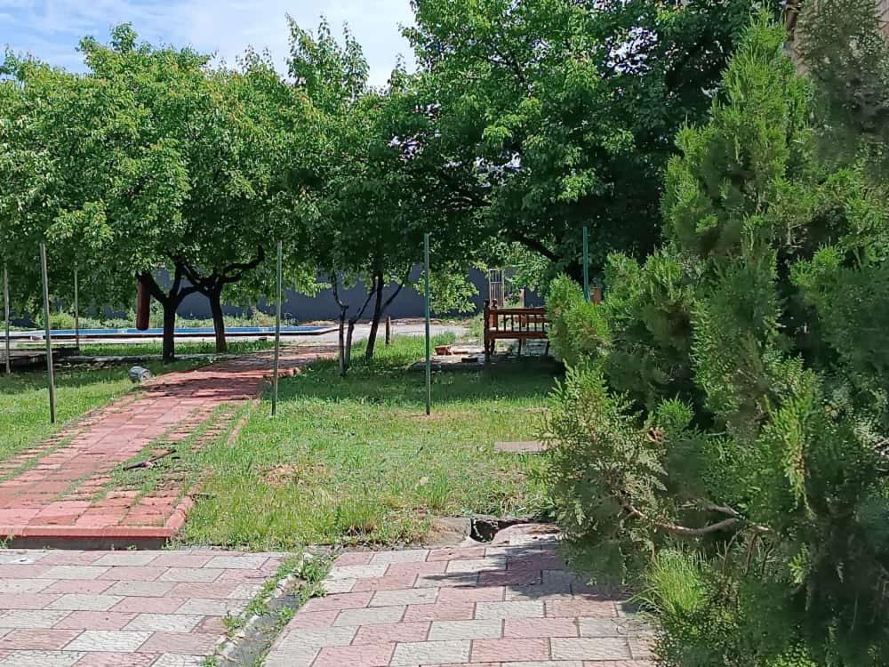 Photo 7