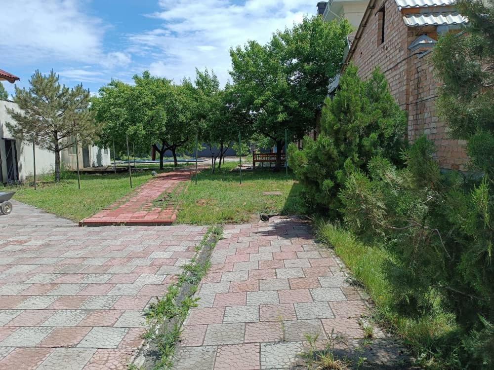Photo 8