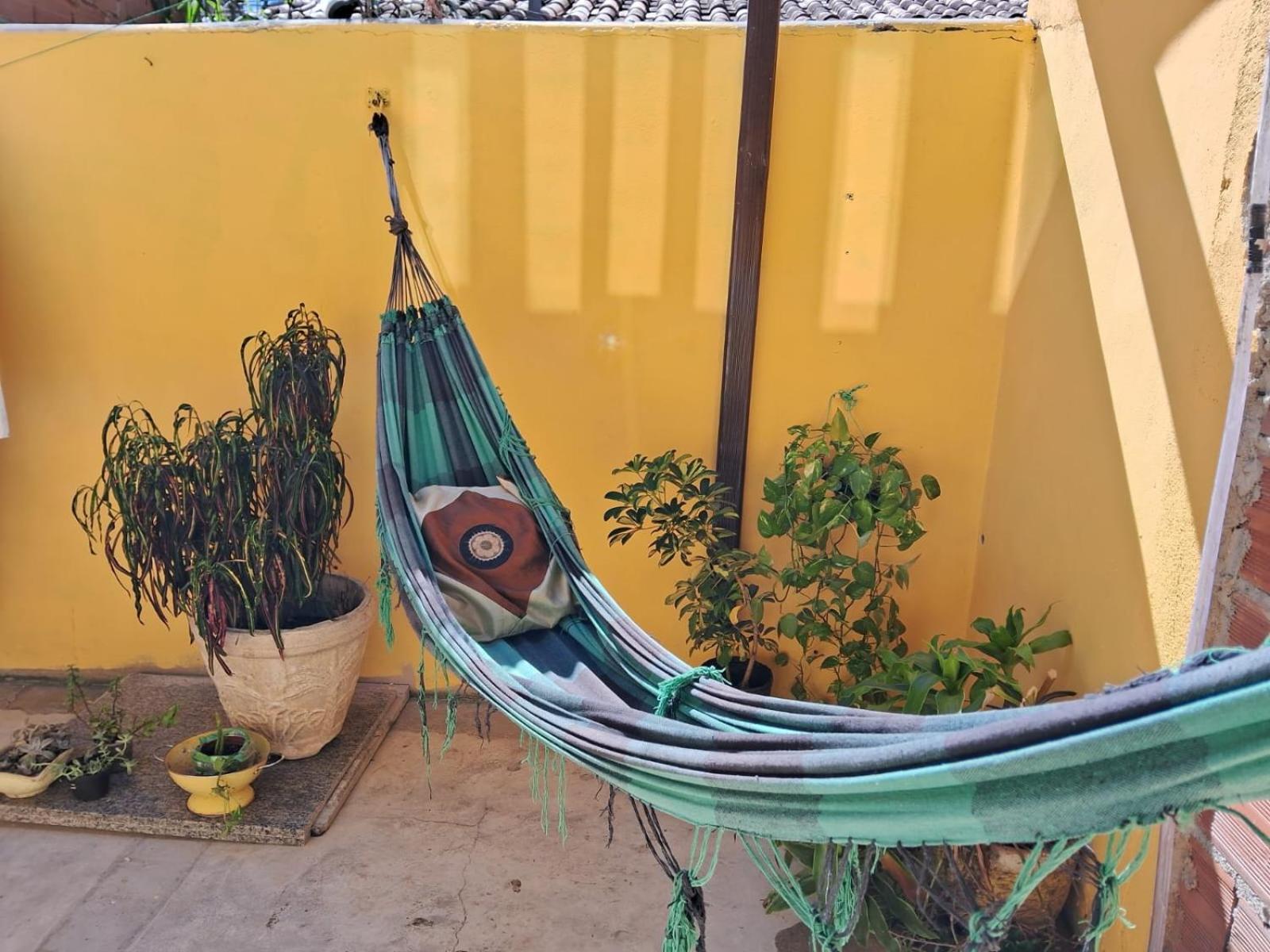 Casa wood