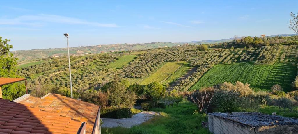 La Vigna di Ranco - Laura view 4
