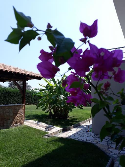 Seaside Villa in Chalkidiki
