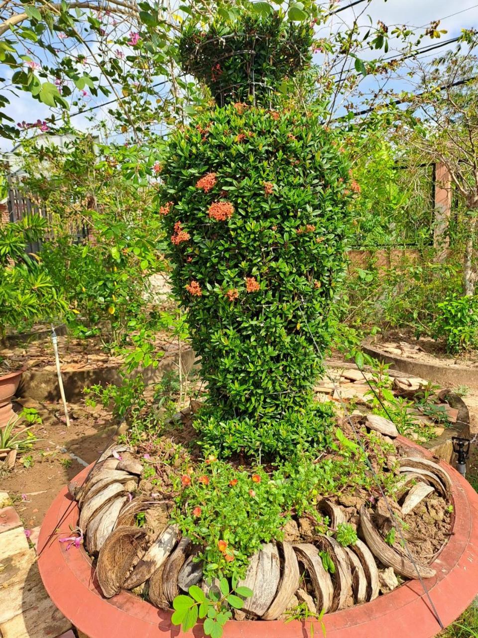 Photo 46