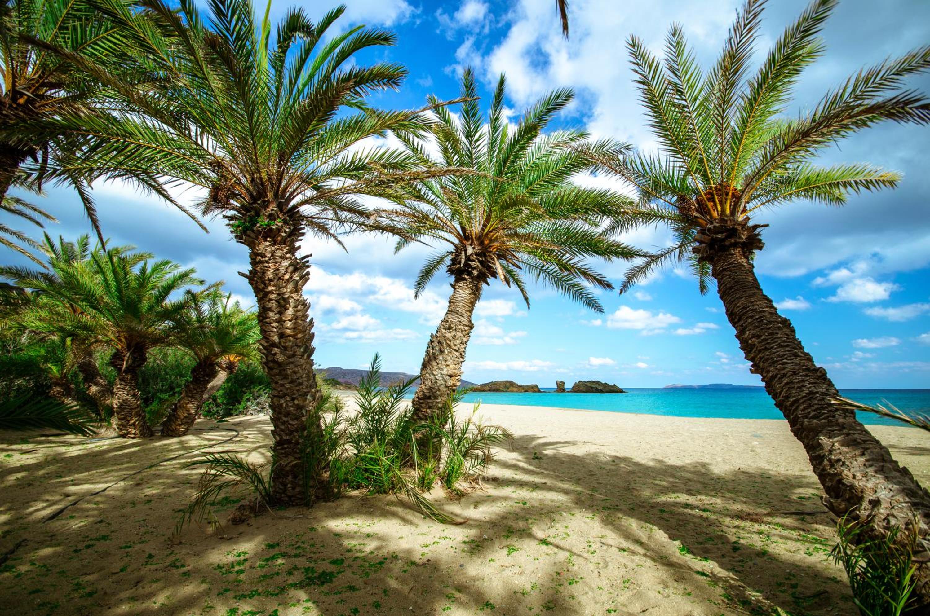 Plumeria Apartment Sitia