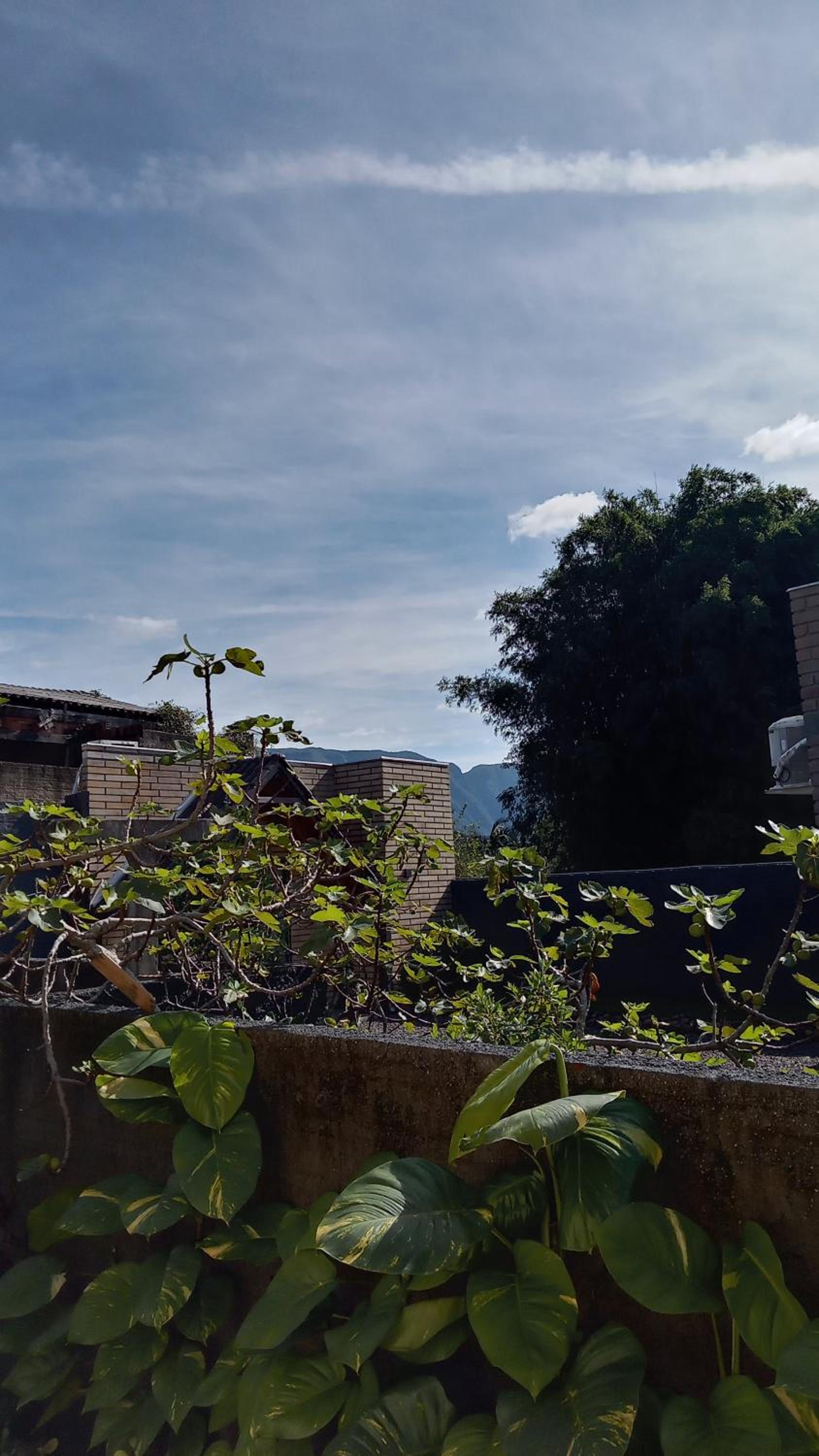 Chalés Manacá dos Canyons