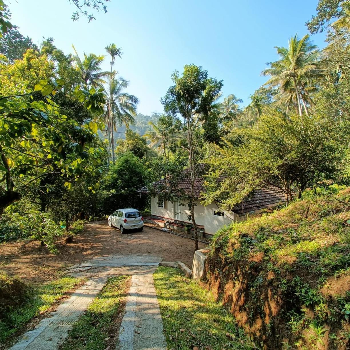 Eden Thottam Homestay view 3