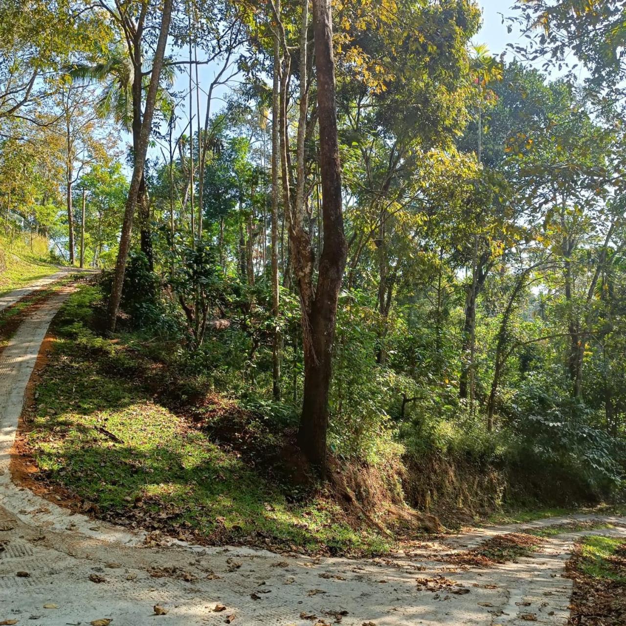 Eden Thottam Homestay view 5