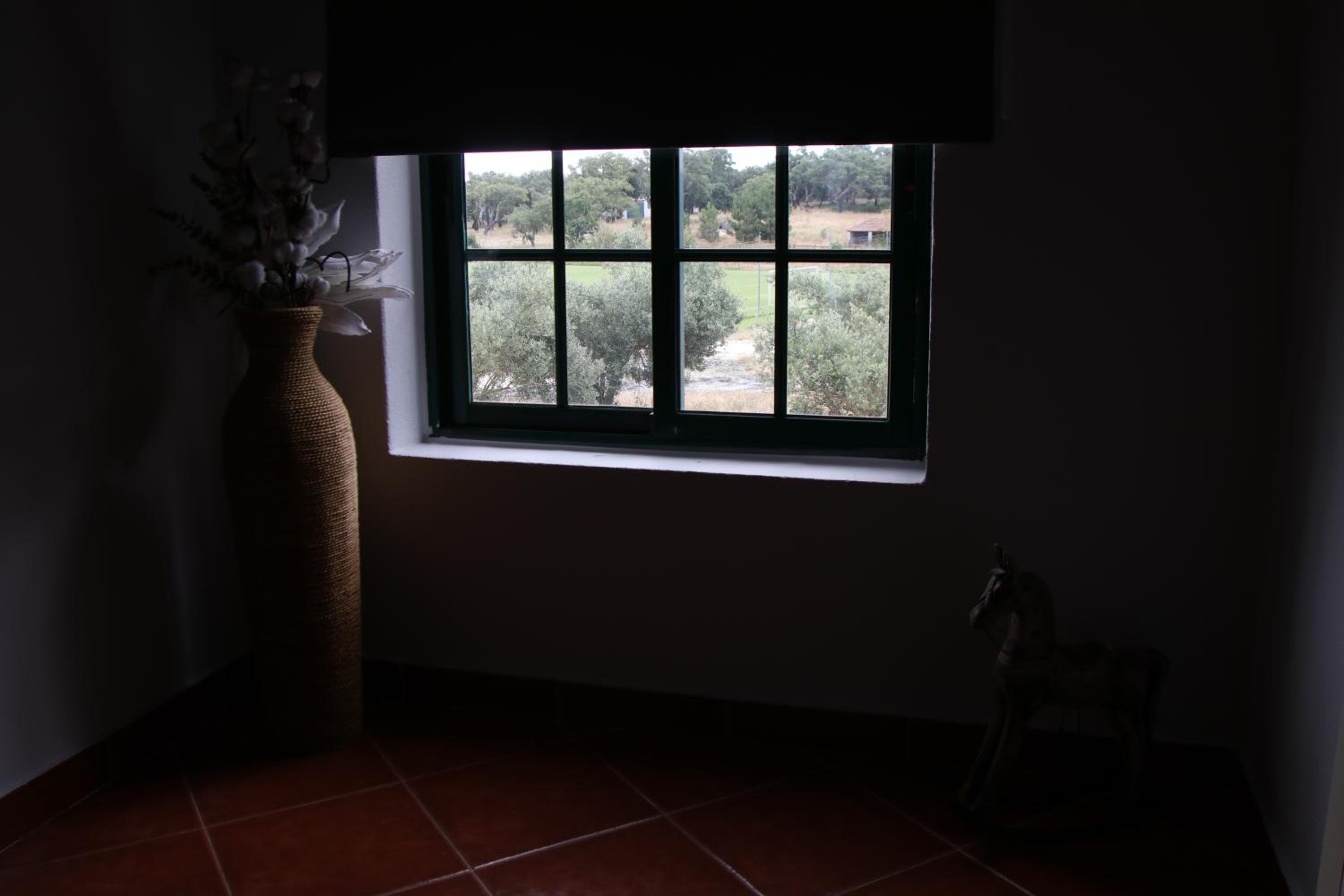Photo 33
