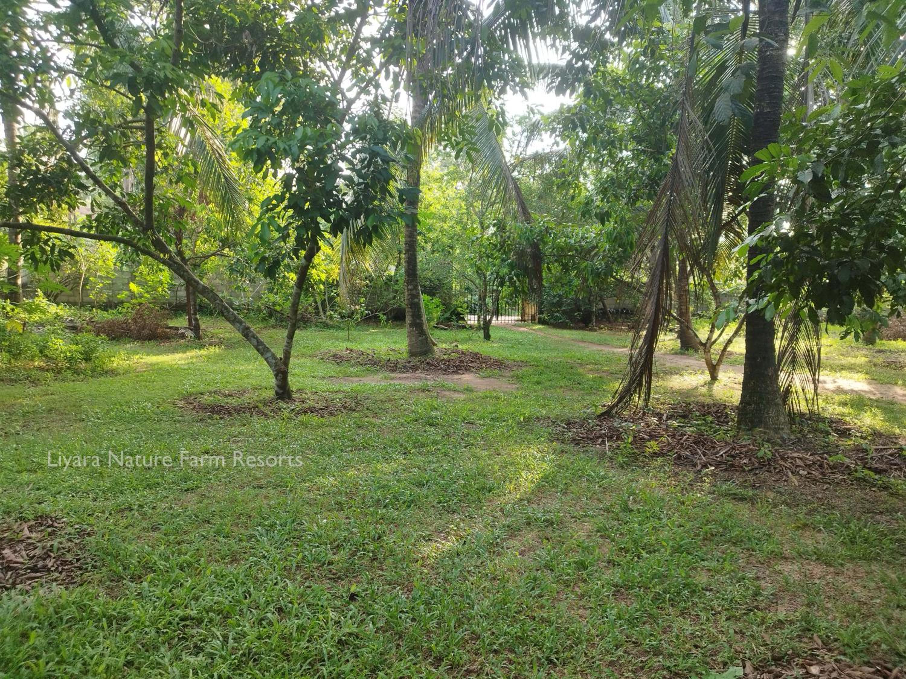Photo 17