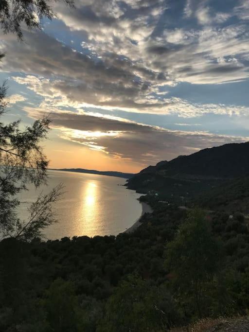 Aegean Melinda