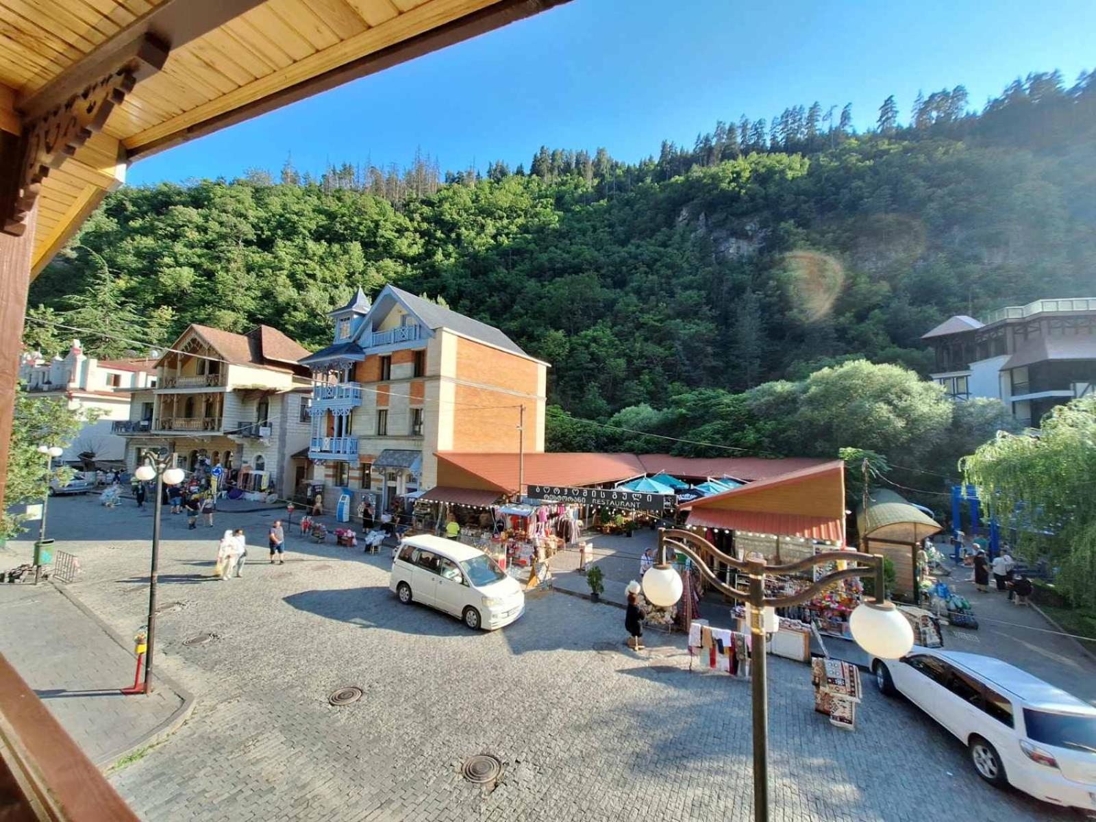 Alongside Park Borjomi view 3