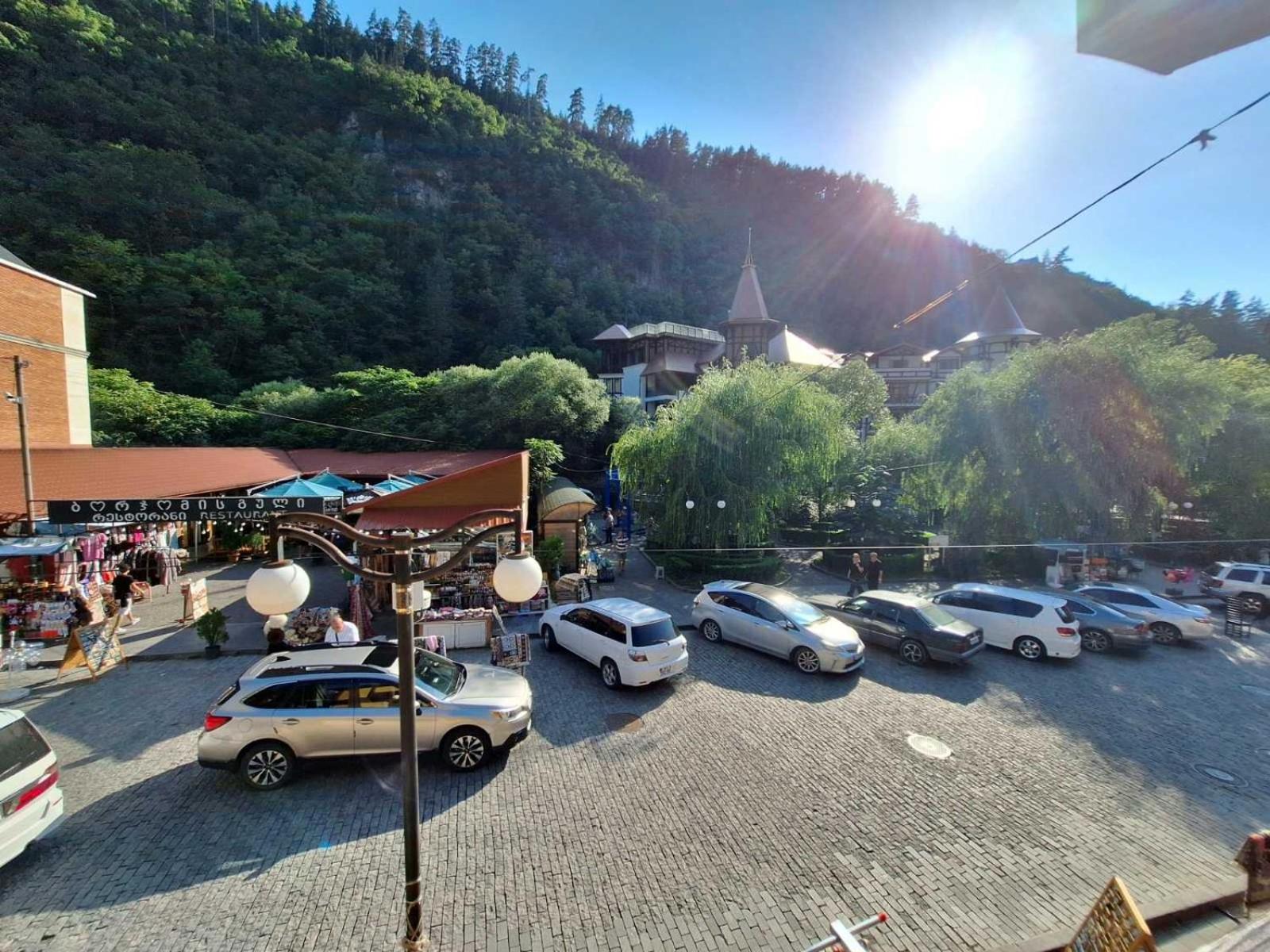 Alongside Park Borjomi view 4