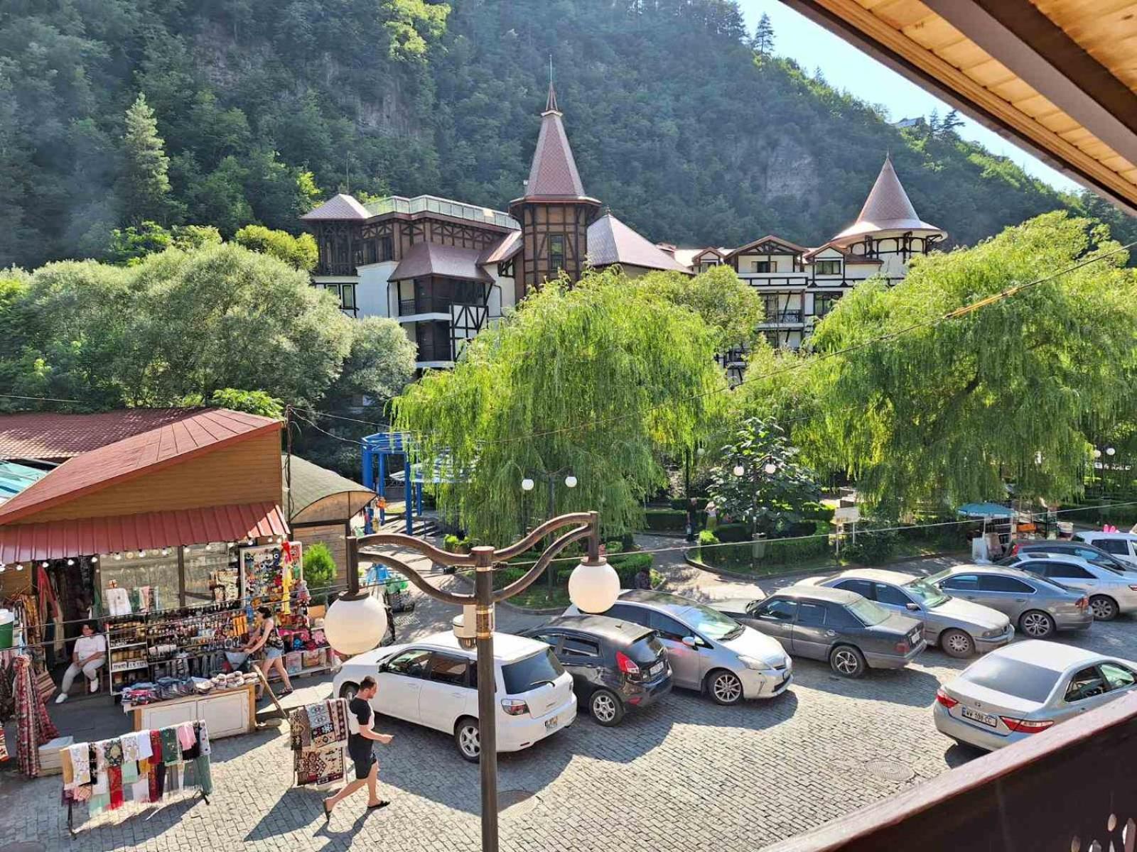 Alongside Park Borjomi view 5