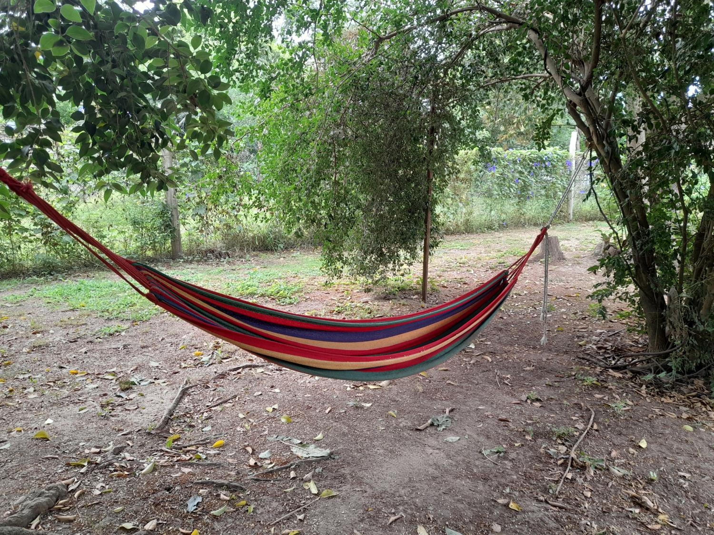 Casa chacra campo en victoria entre rios