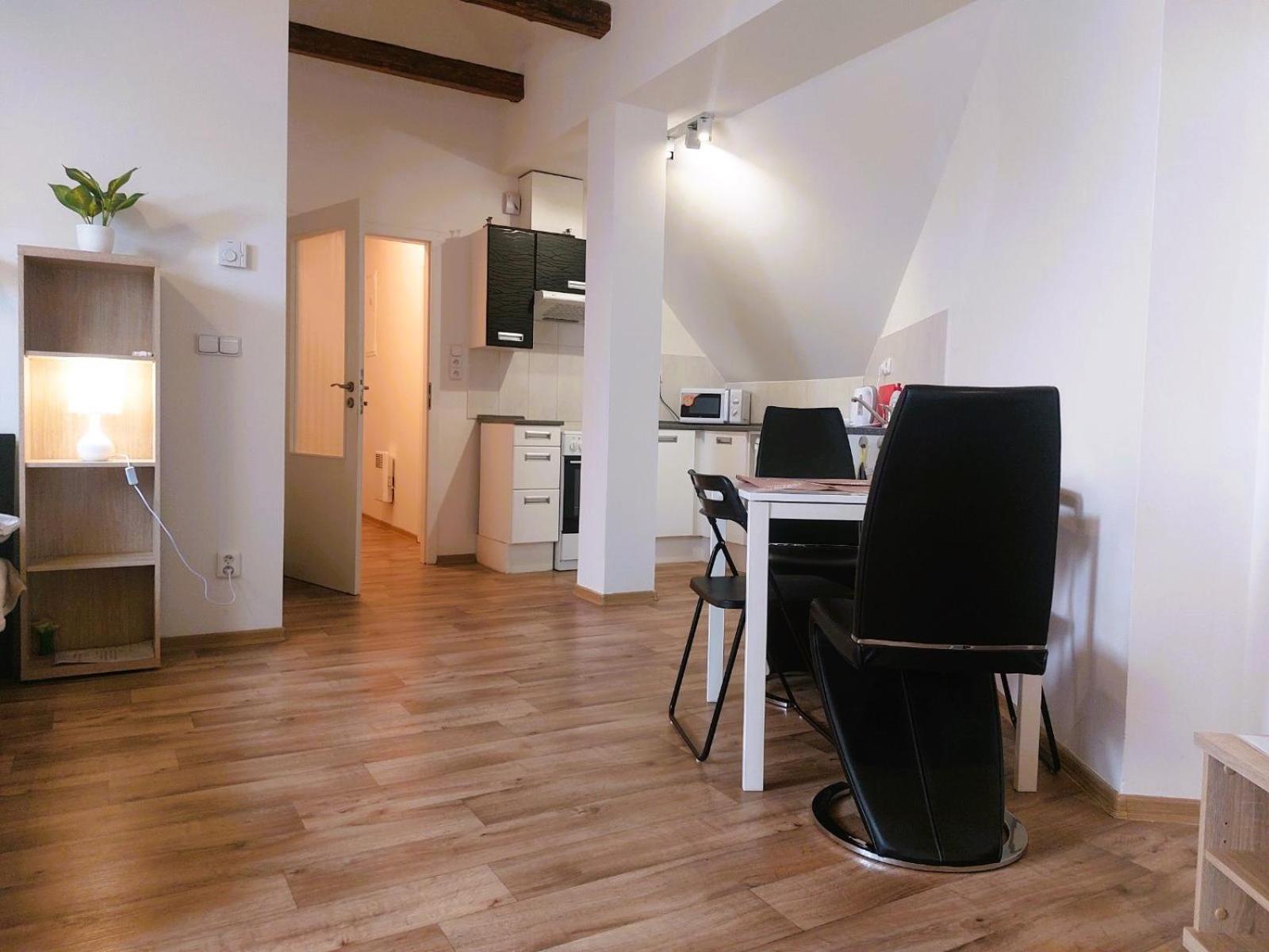 Spacious Historic Attic Loft in City Center 62 m