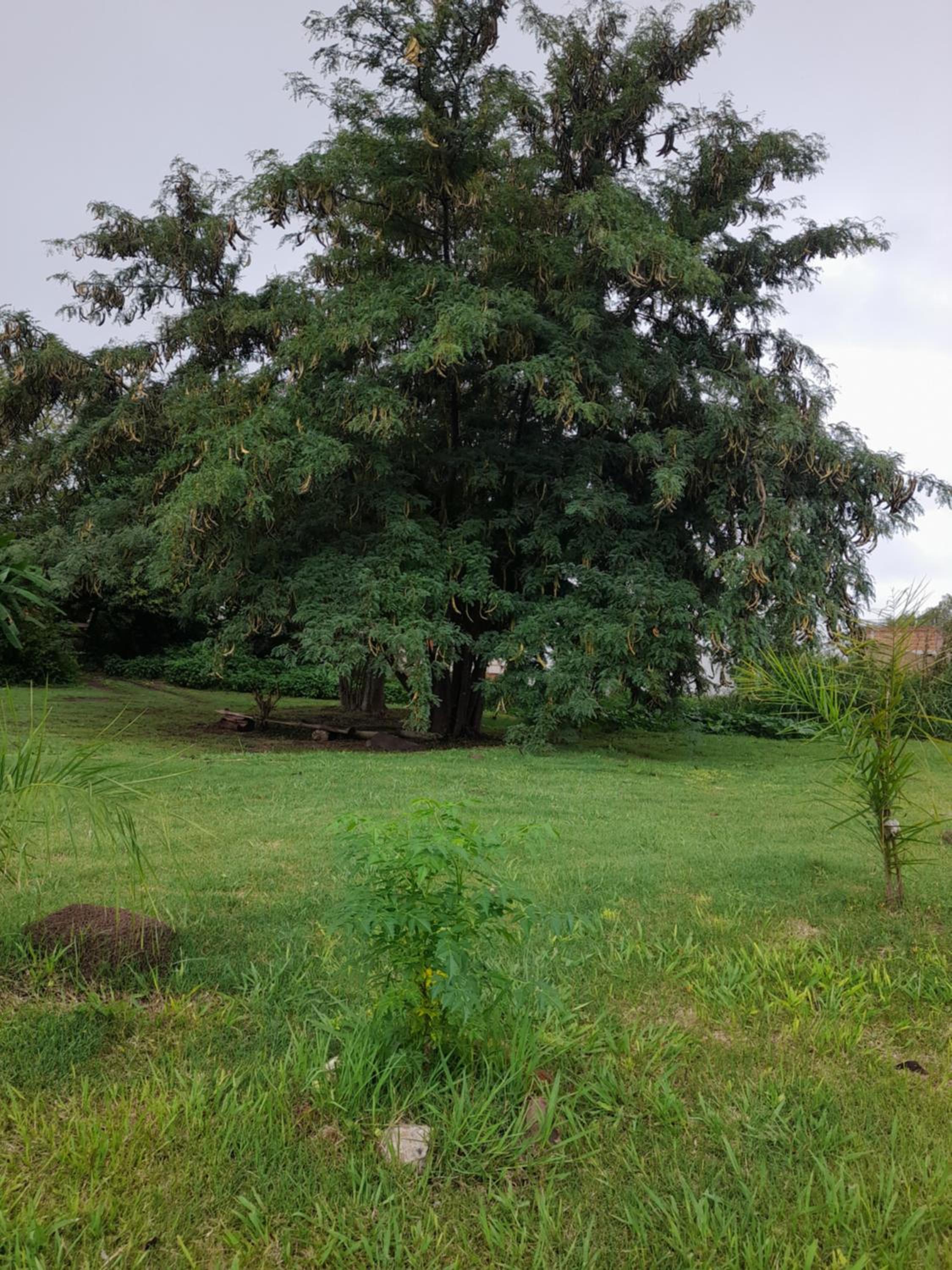 Casa chacra campo en victoria entre rios
