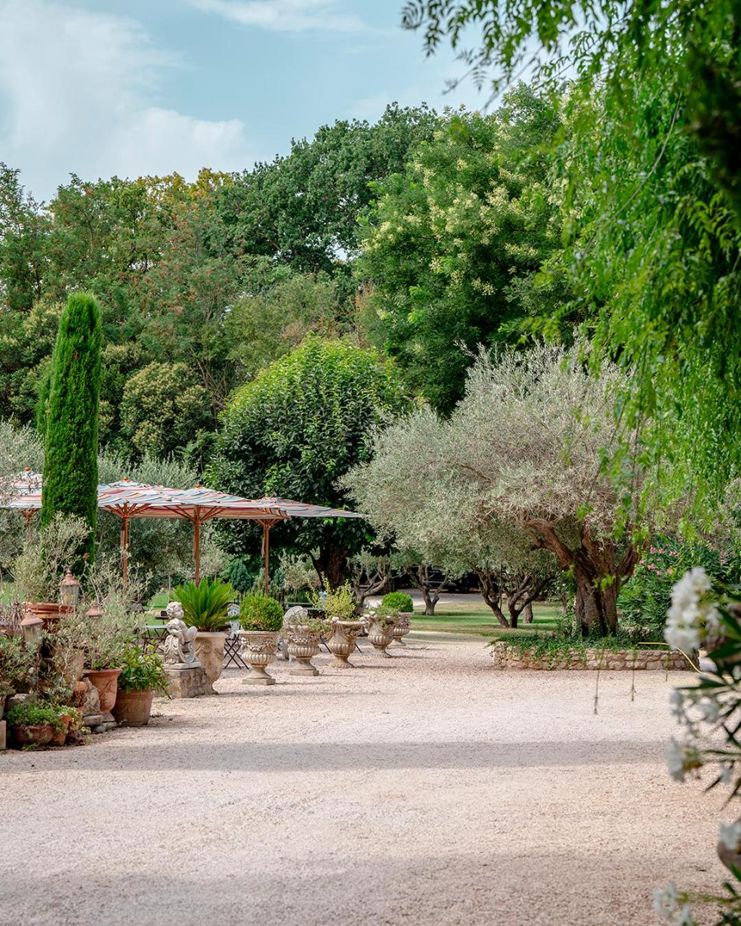 Mas des Comtes de Provence, photo 88
