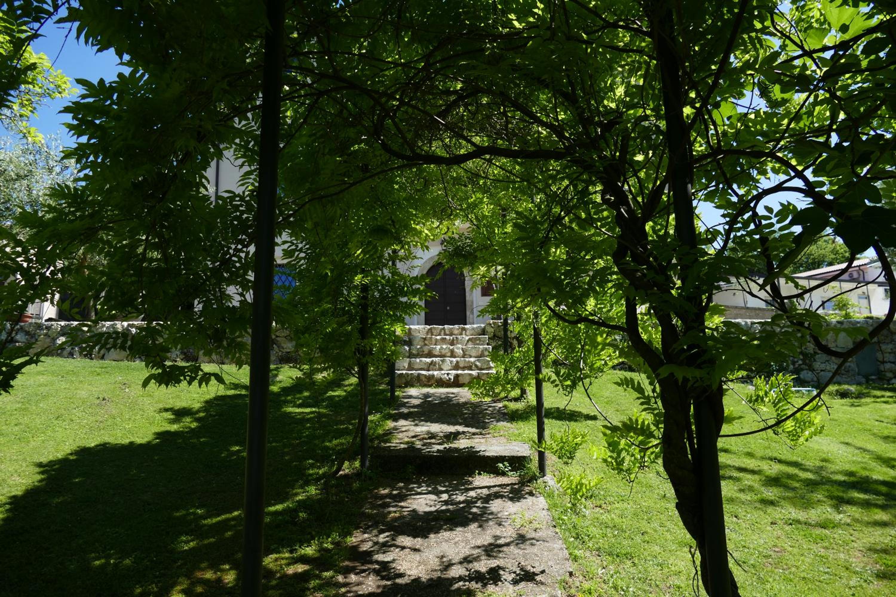 Photo 7