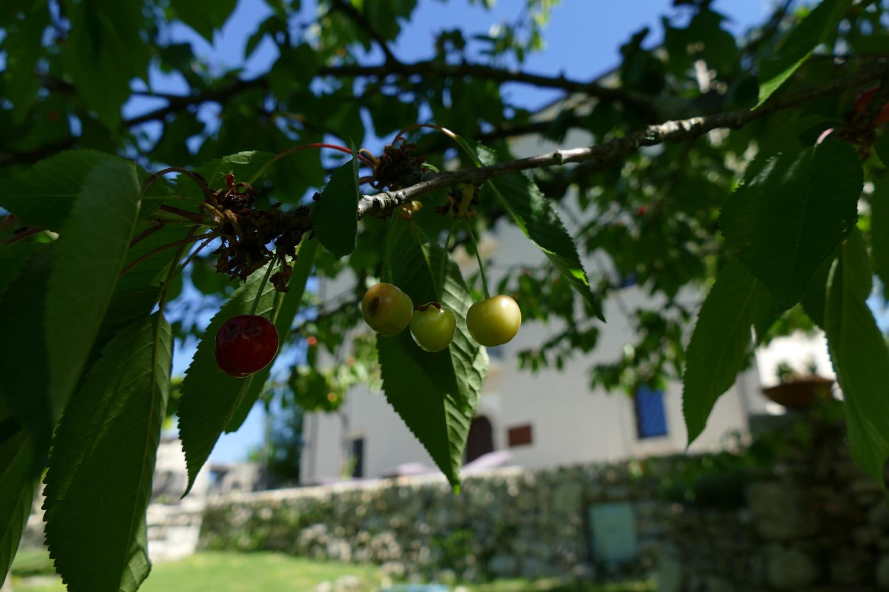 Photo 14