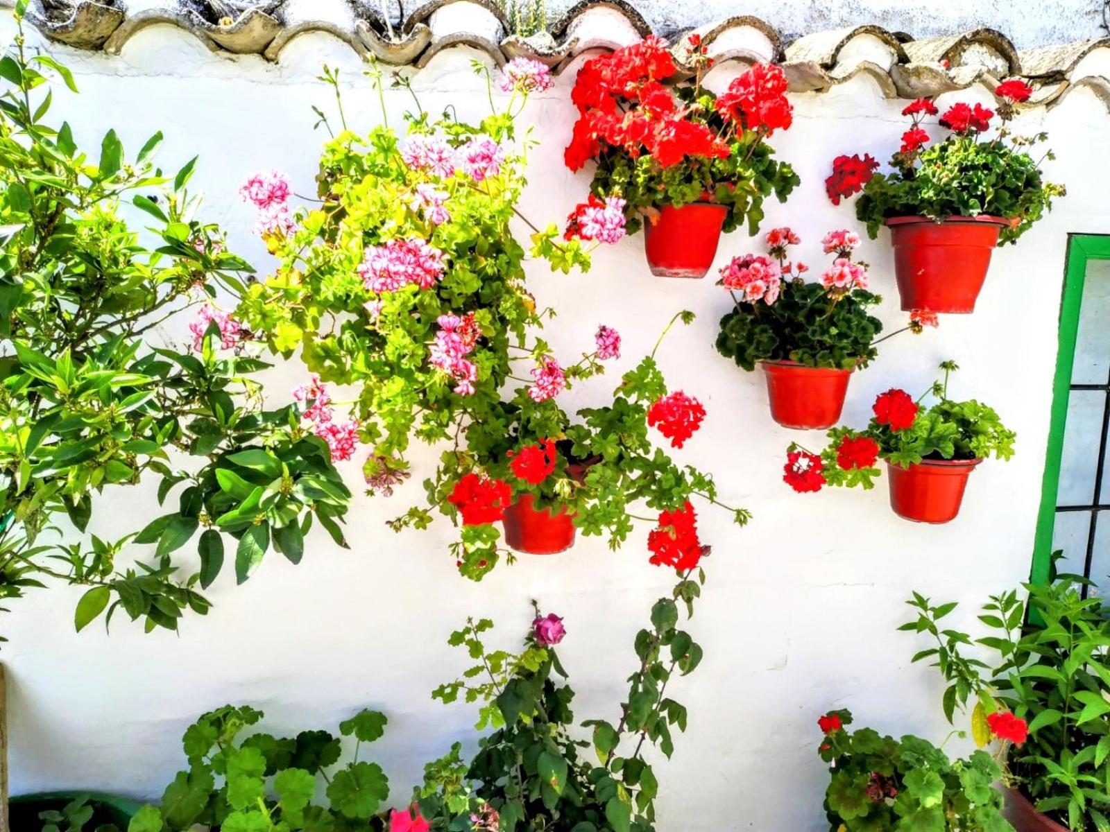 Casa Rural Patio Andaluz