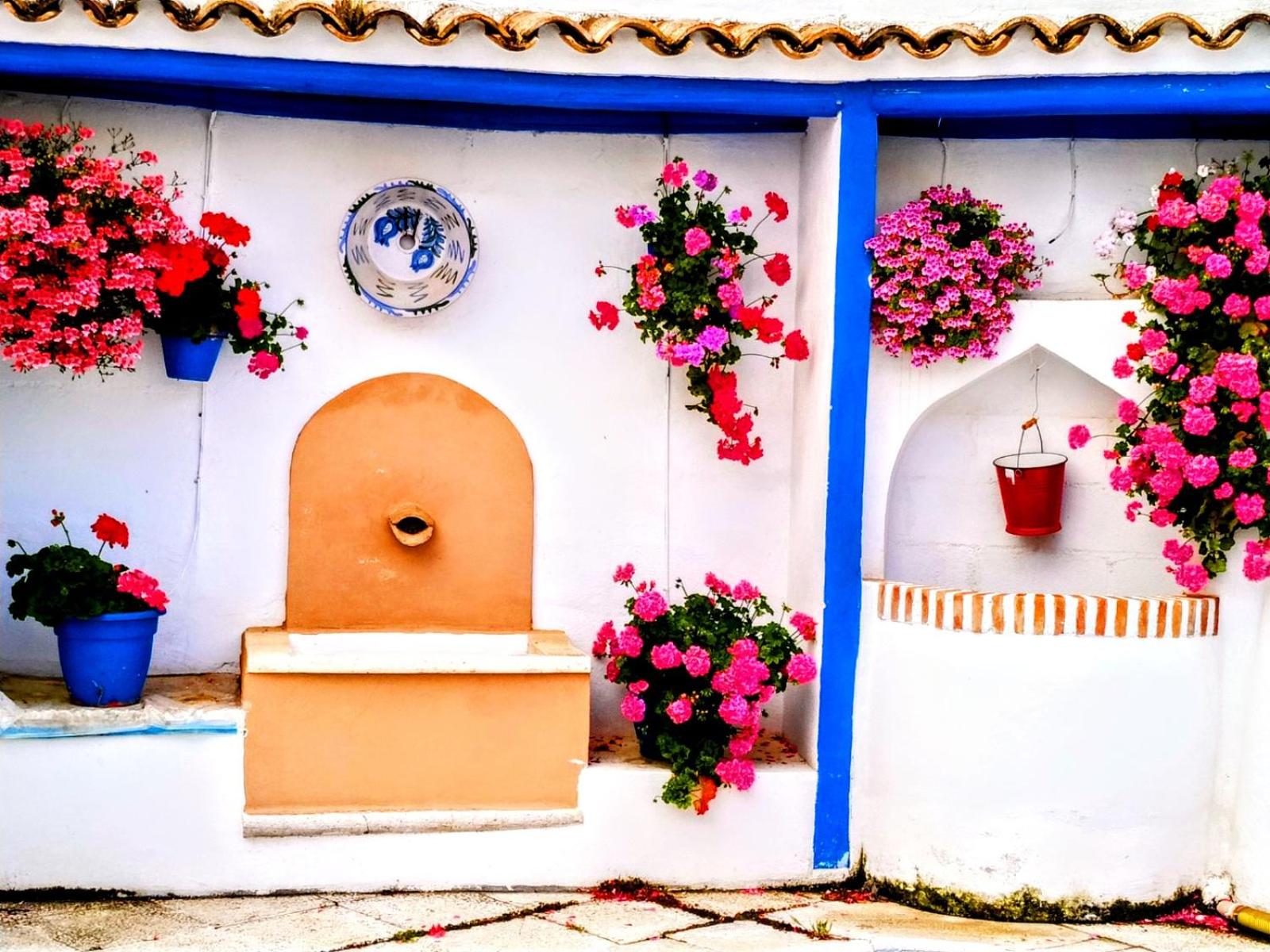 Casa Rural Patio Andaluz