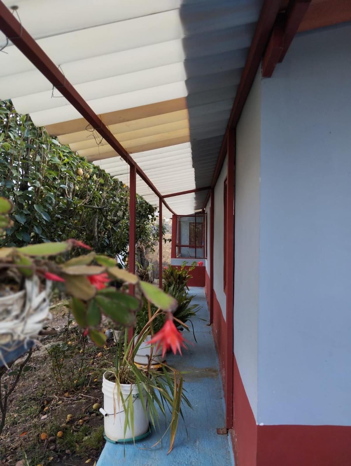 Casa Angelita