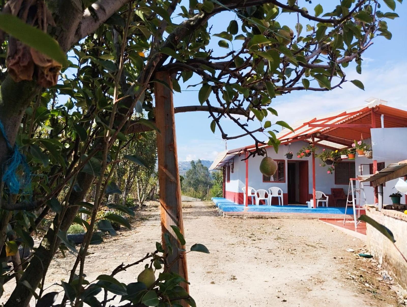 Casa Angelita