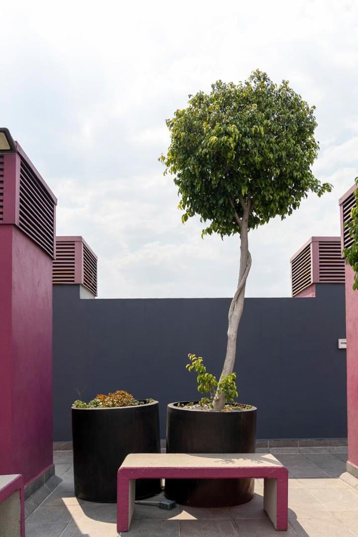 roof