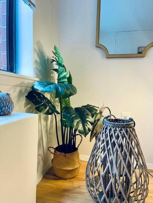 Cozy accommodation in Chelsea