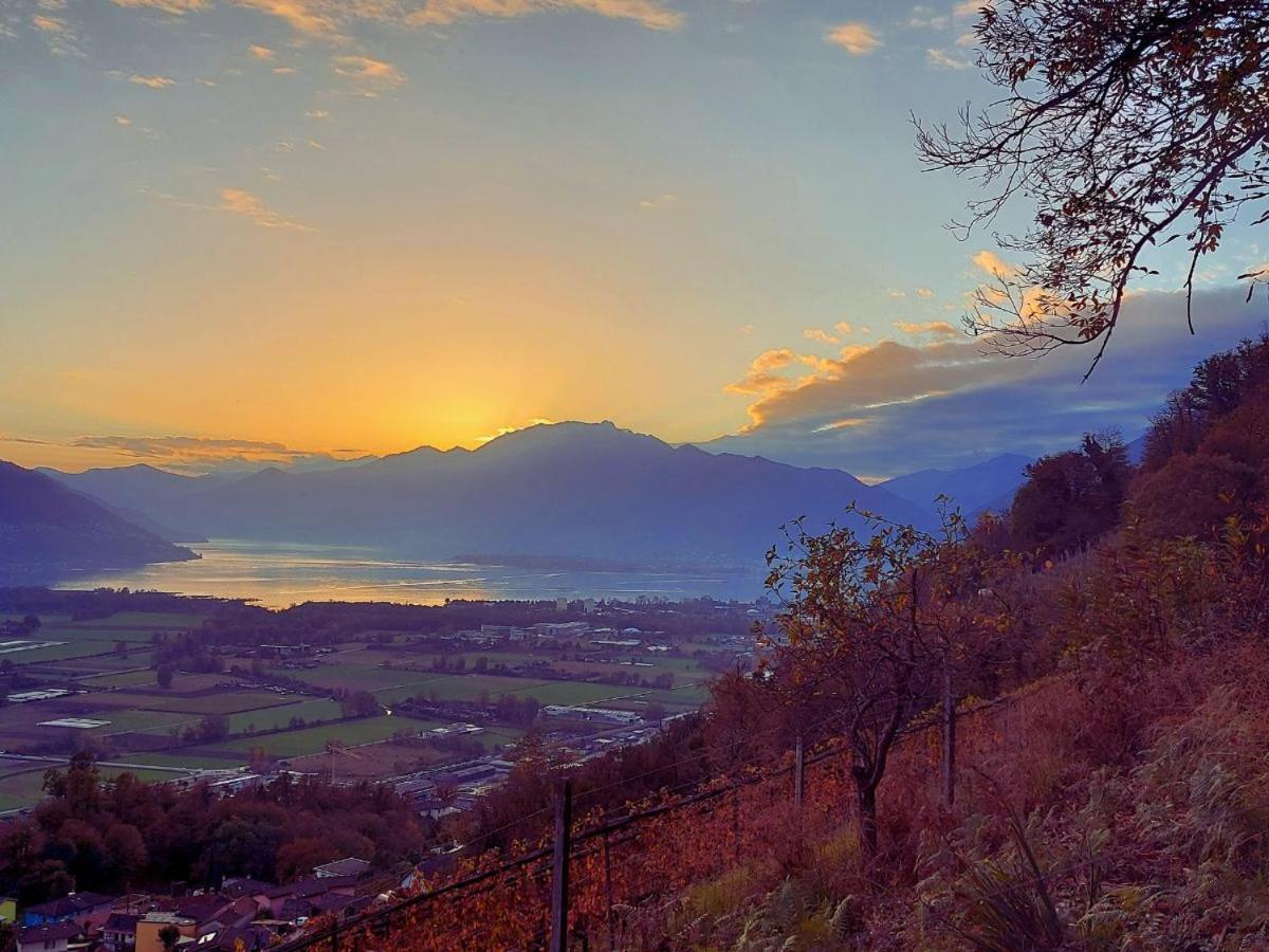 4-Zi-WG Casa Sogno - Valle mit Kamin. Alleinlage im Rebberg!