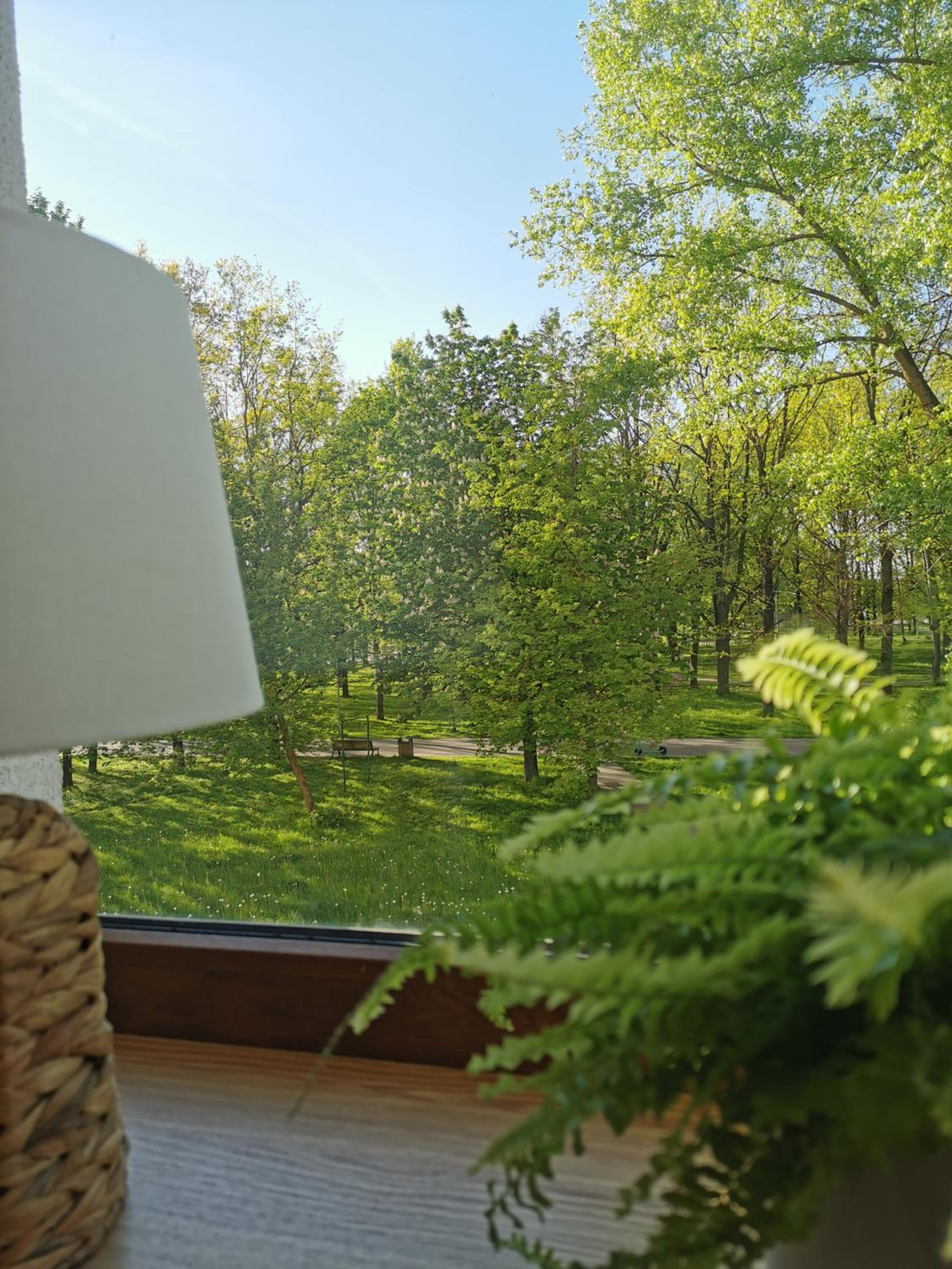 VAVA apartment view 4
