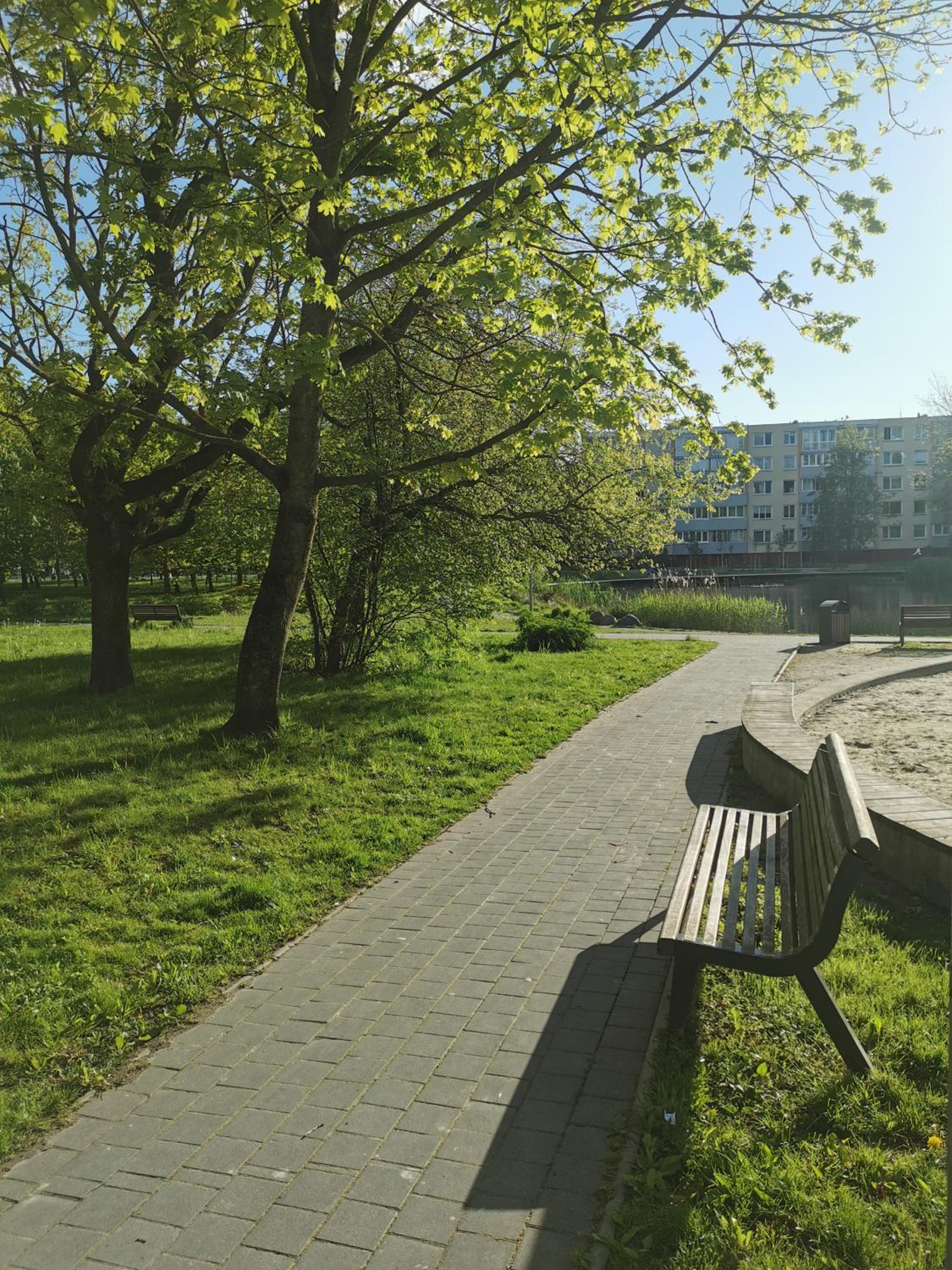 Photo 46