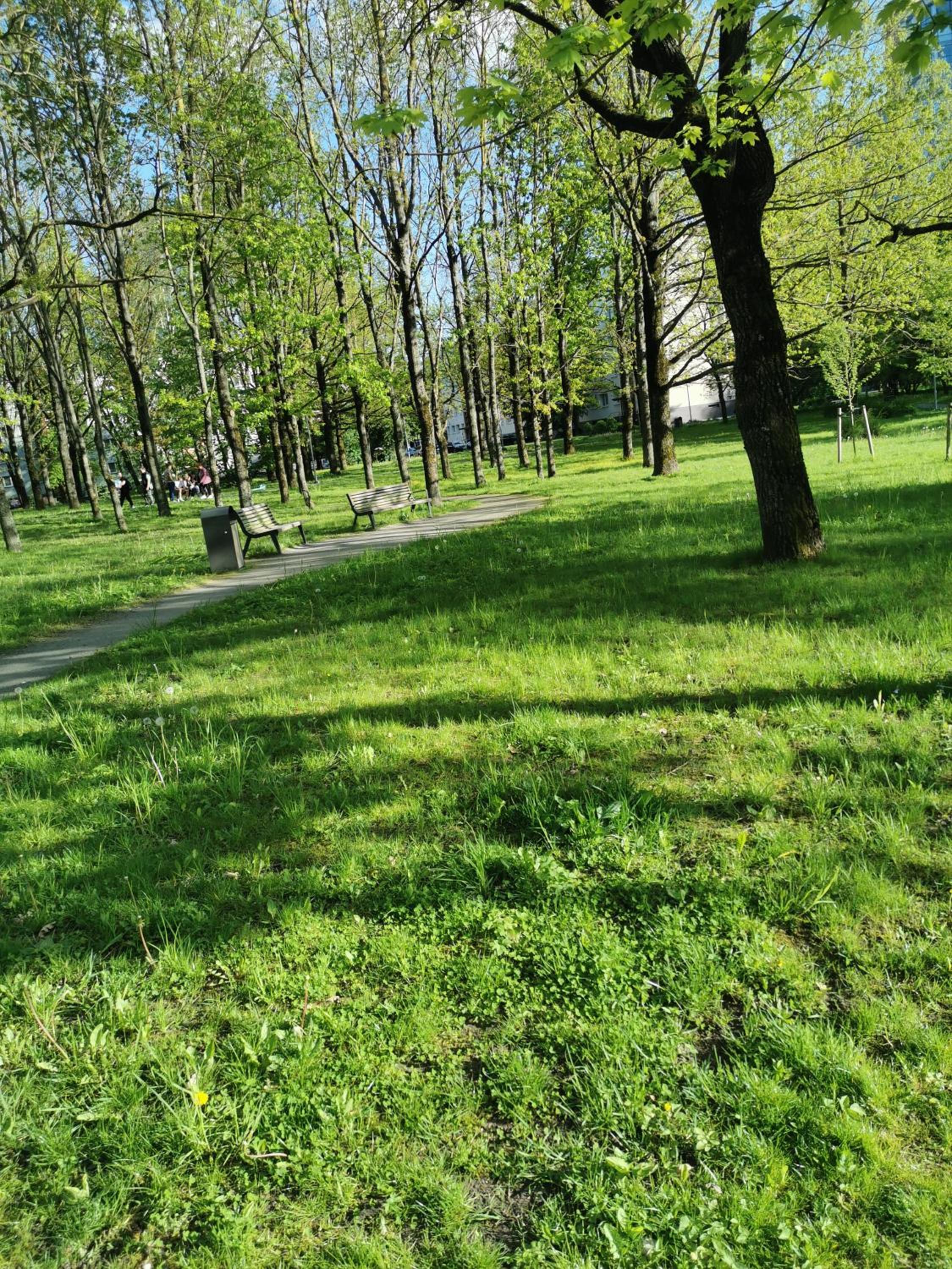 Photo 51