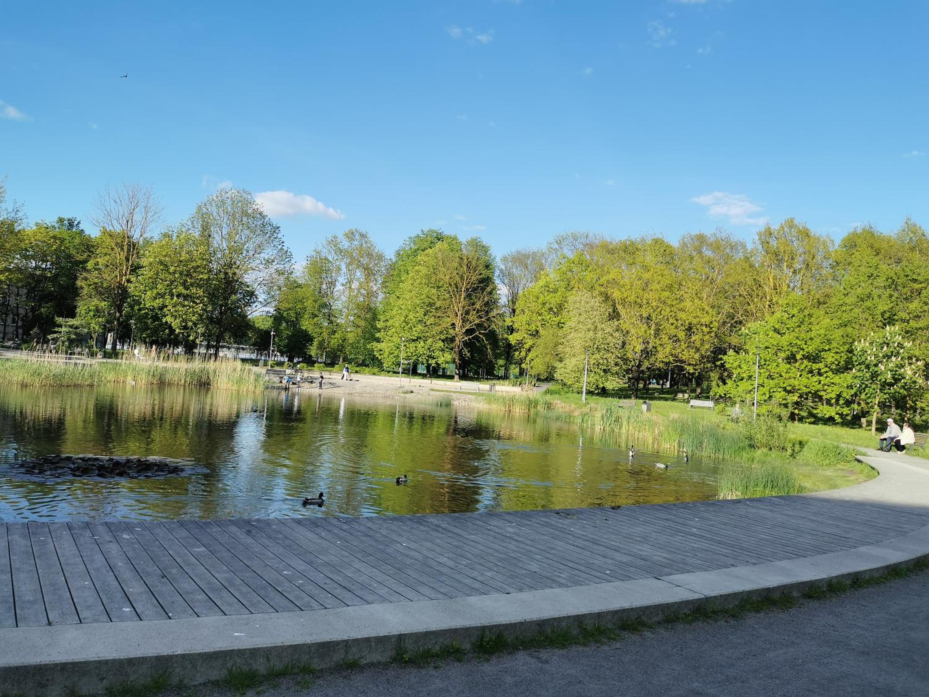 Photo 48