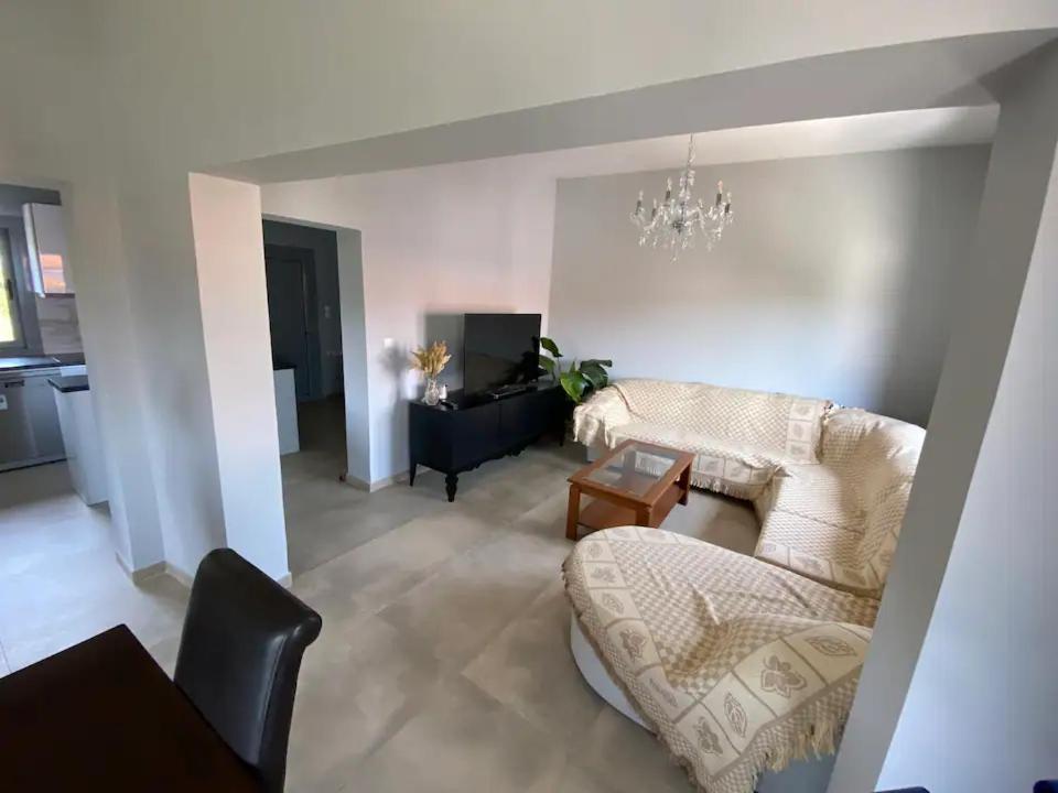 Evie’s Apartment photo 2