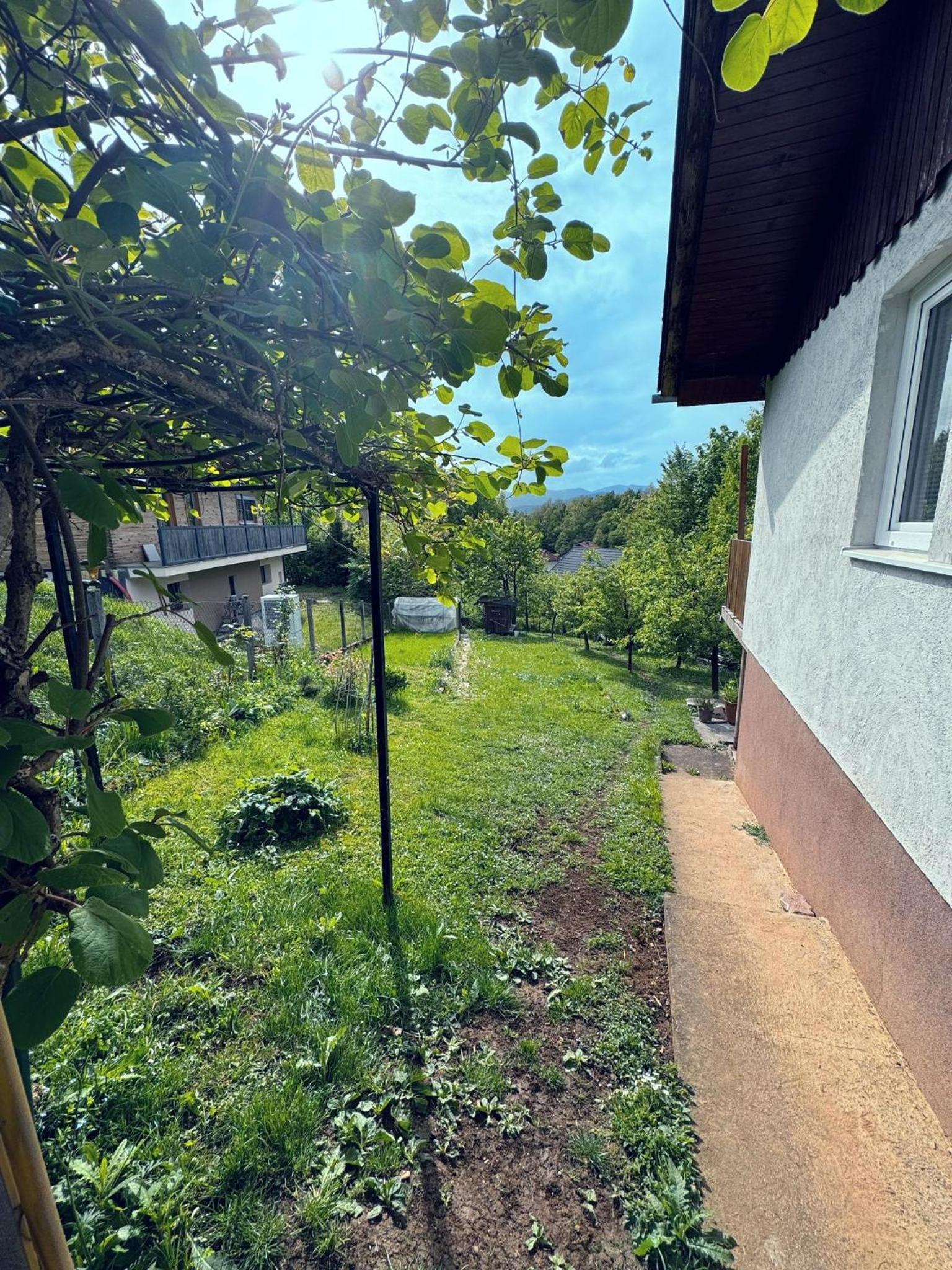 Cozy House Didi view 2