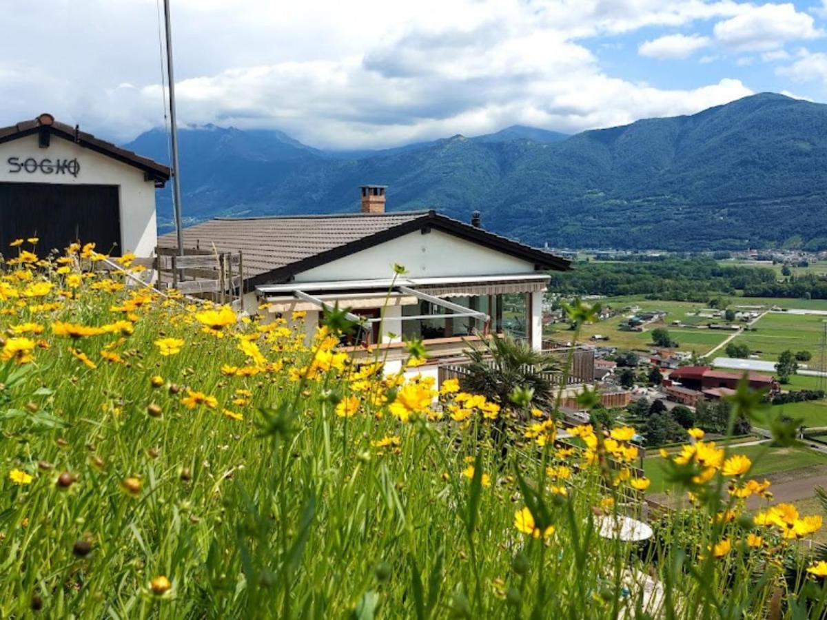 4-Zi-WG Casa Sogno - Valle mit Kamin. Alleinlage im Rebberg!