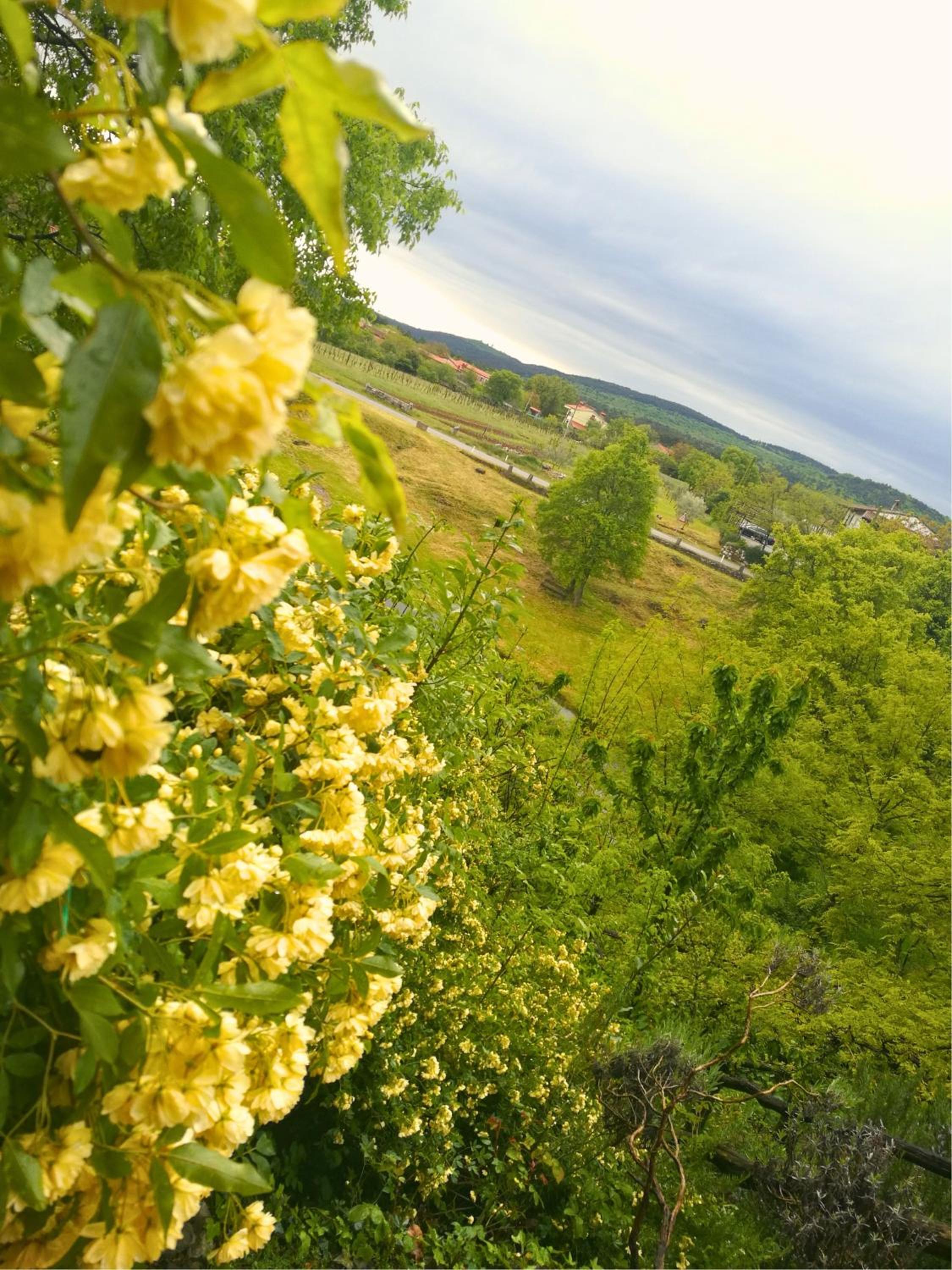 Photo 47