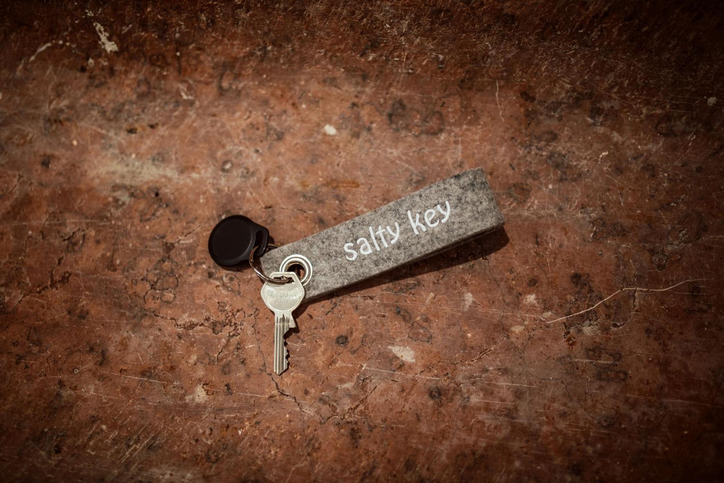 the salt vis à vis