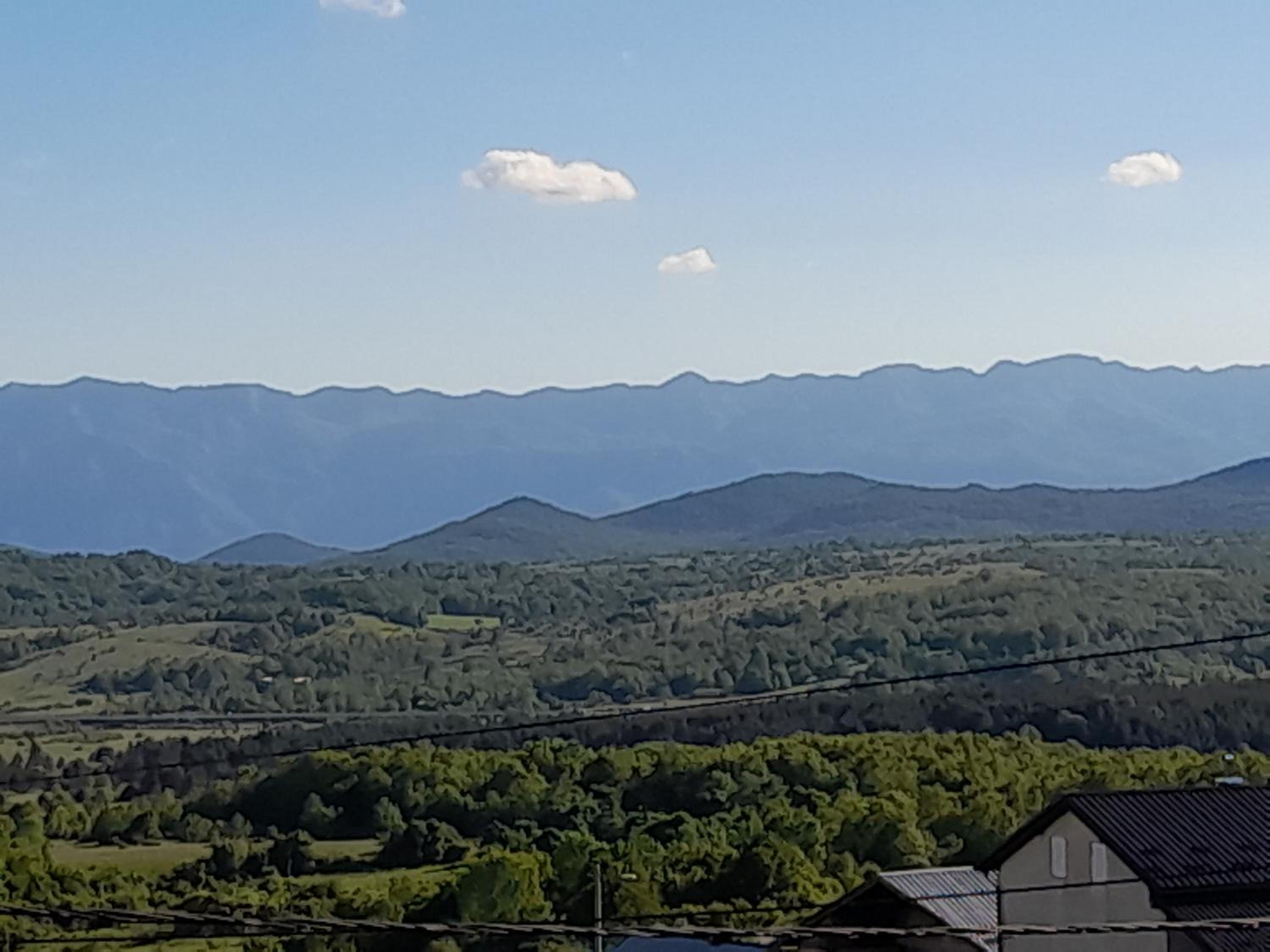 Vista