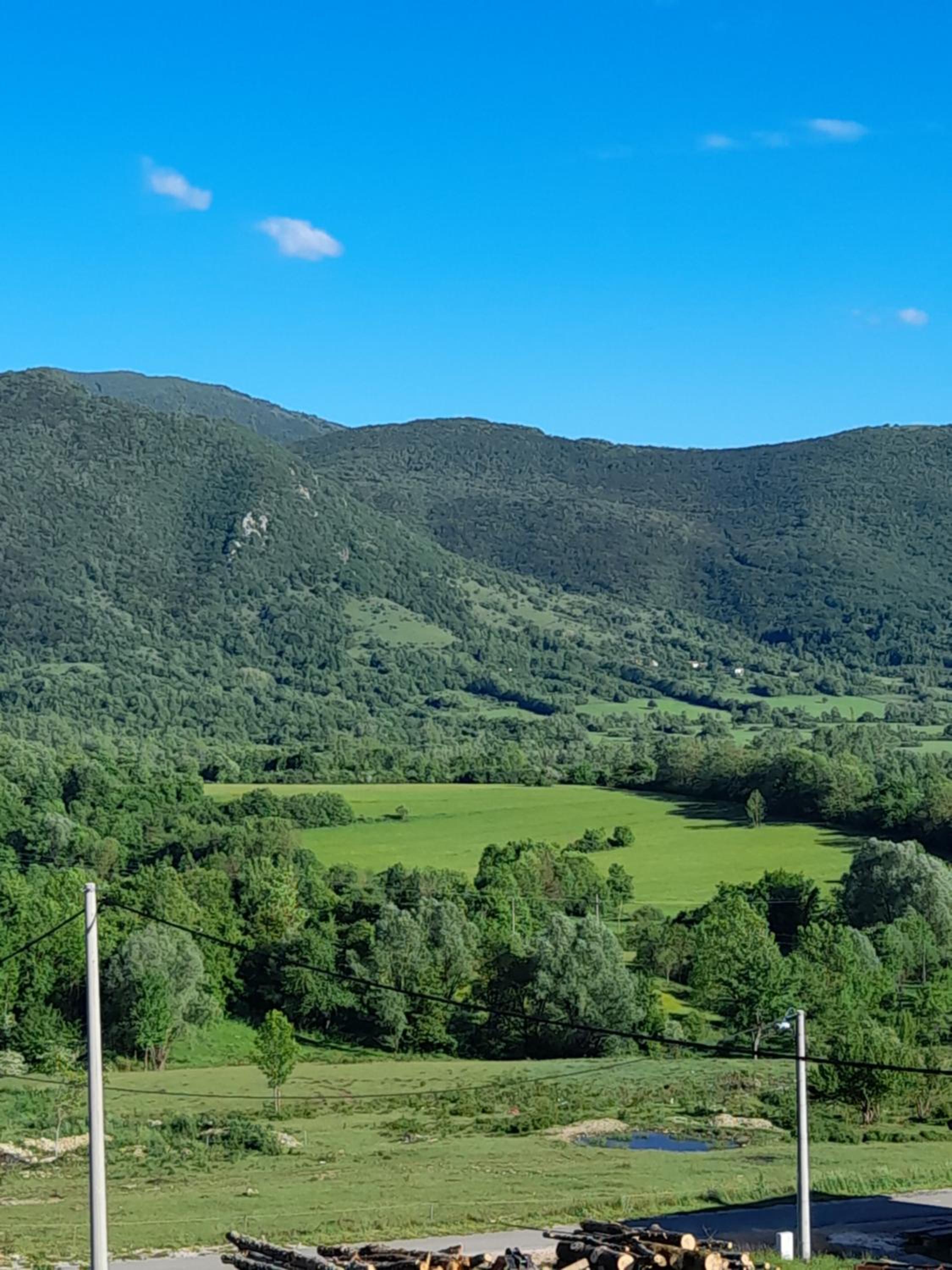 Vista