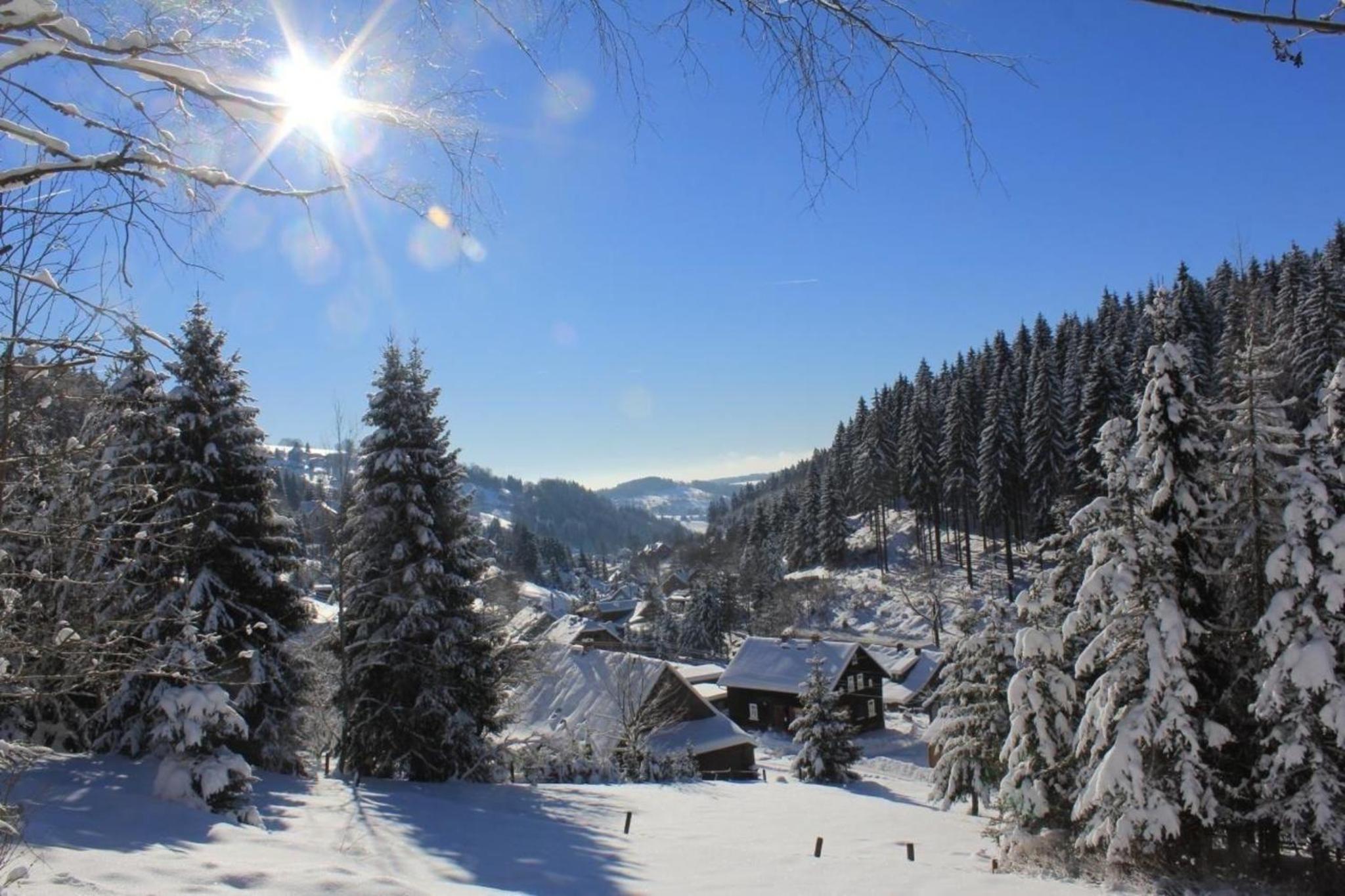Ferienhaus in Klingenthal mit Terrasse, Grill und Garten