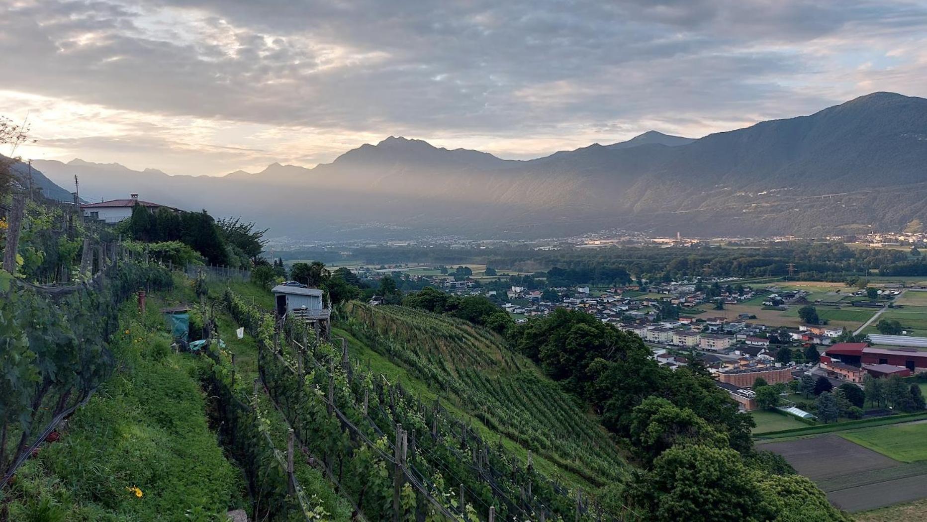 4-Zi-WG Casa Sogno - Valle mit Kamin. Alleinlage im Rebberg!
