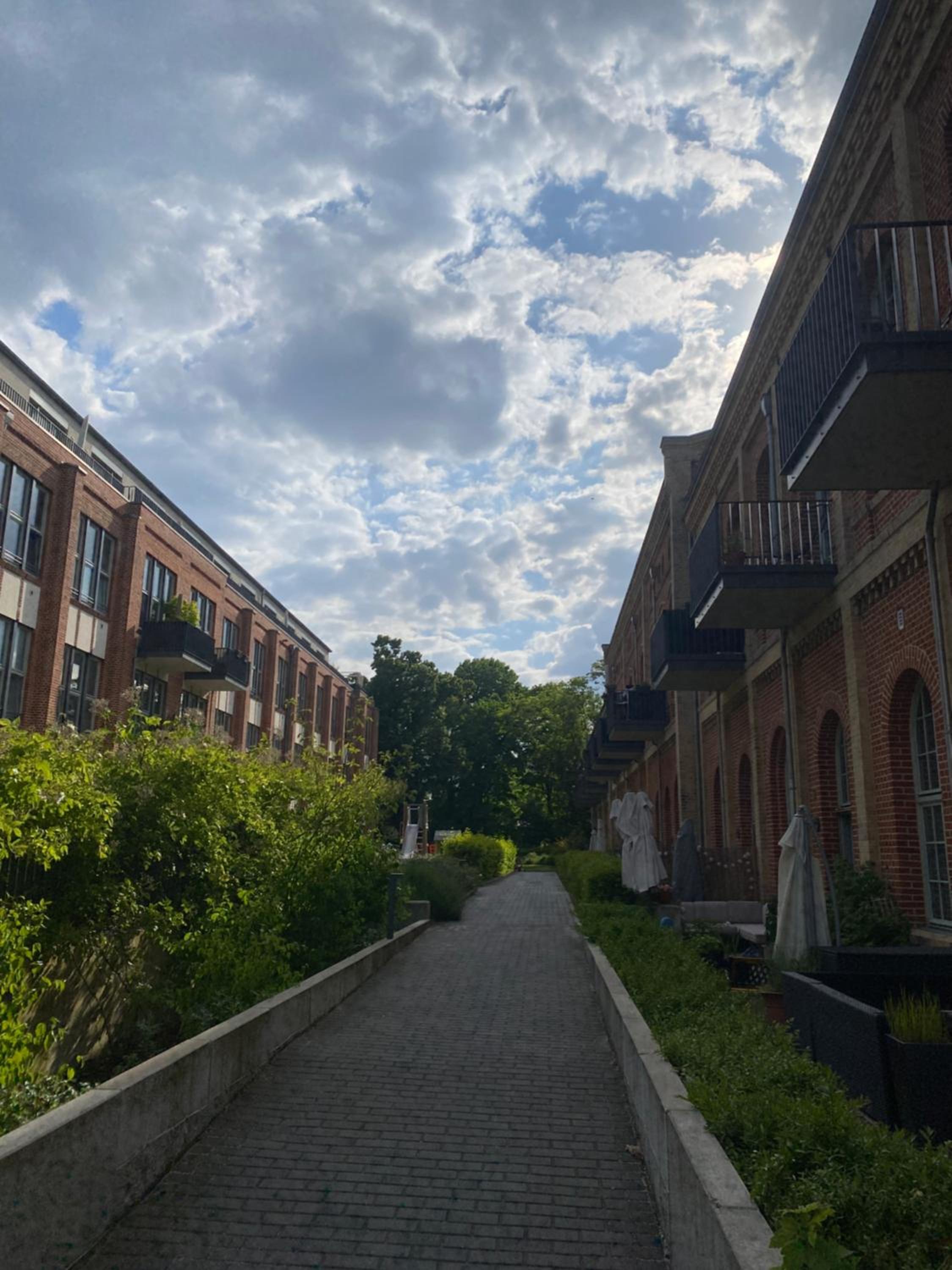 Appartement Havelblick photo 4