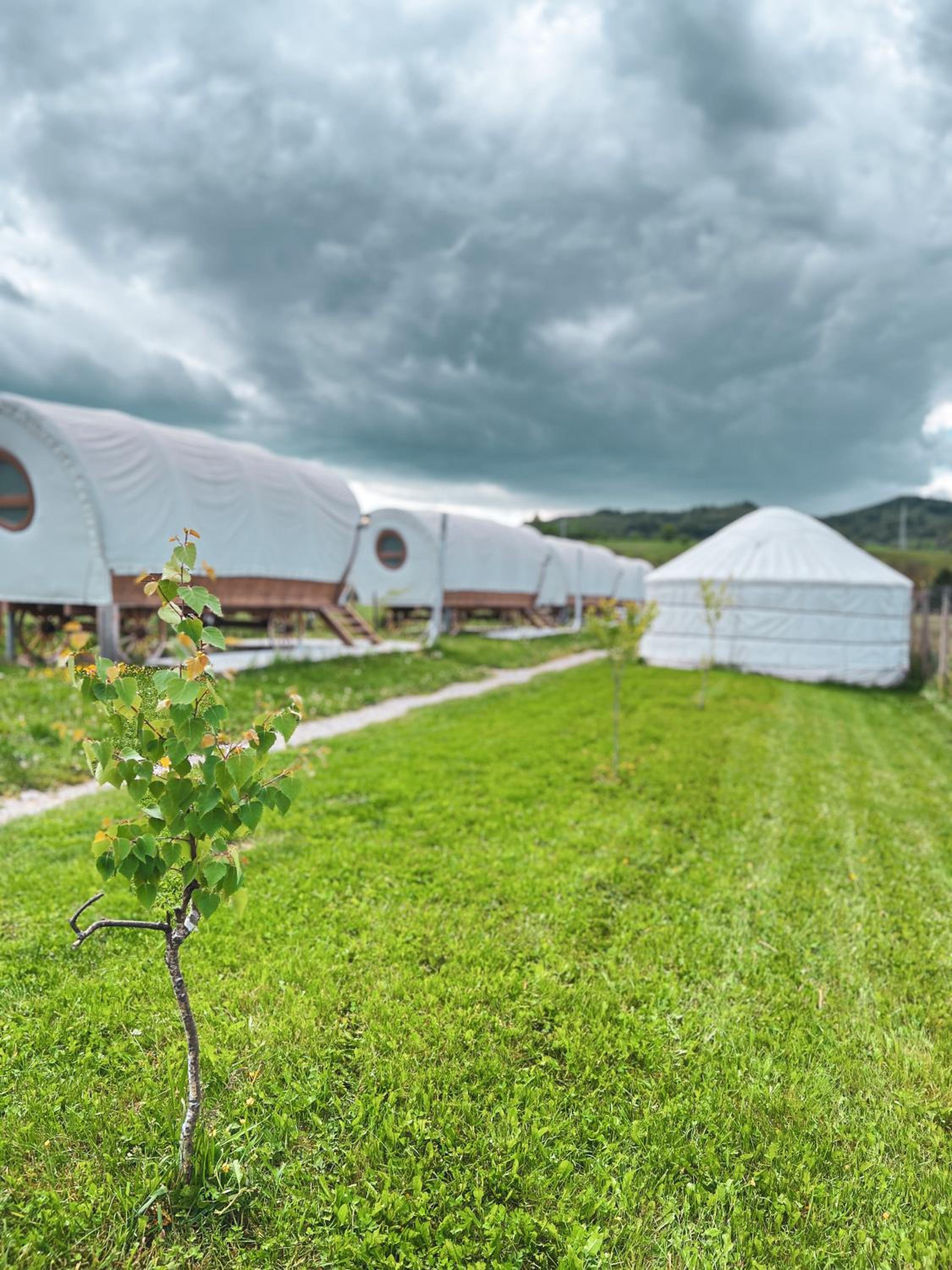 Glamping Iurte Mongole Spiritul Zimbrului